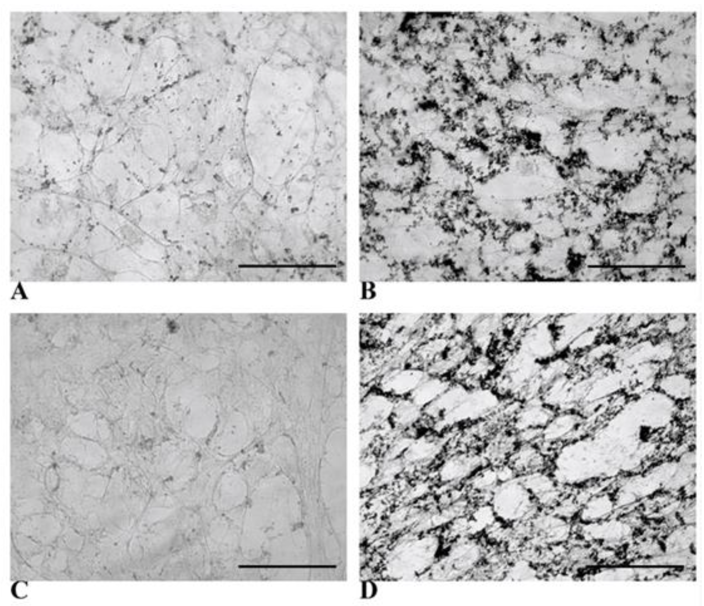 Biology 14 00124 g012