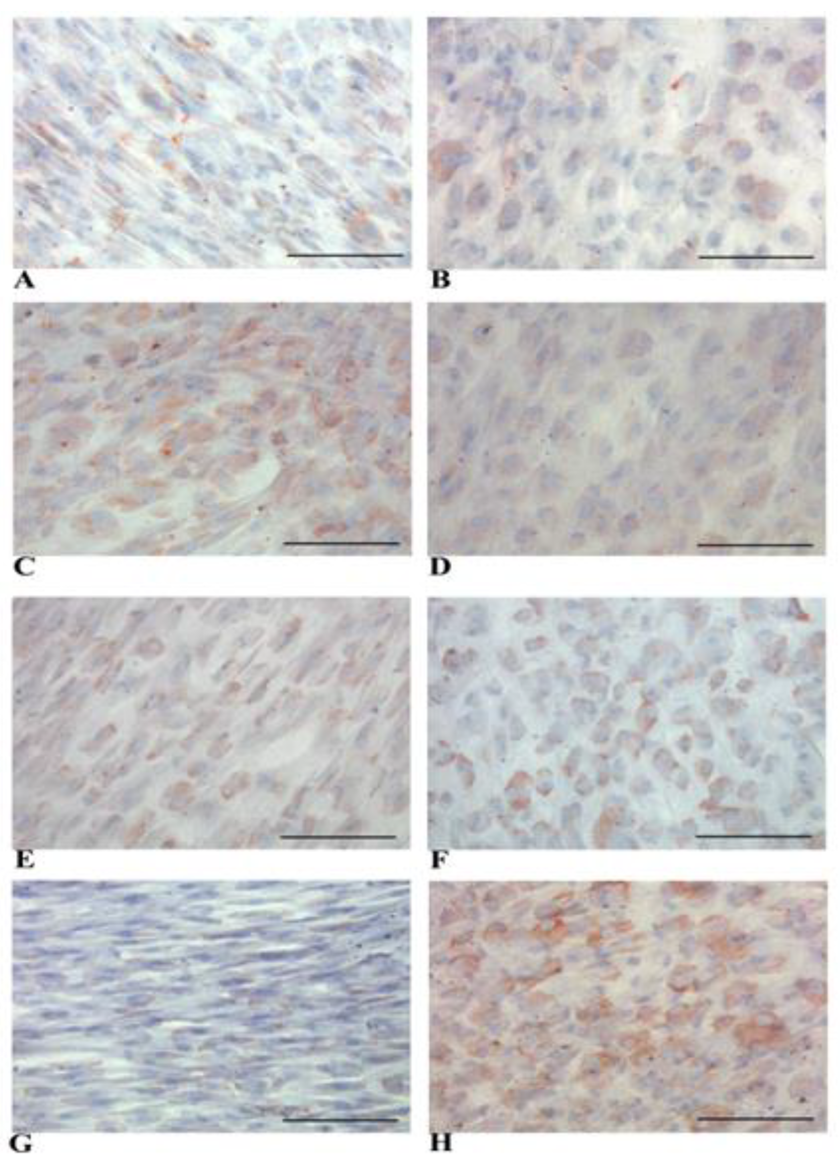 Biology 14 00124 g014