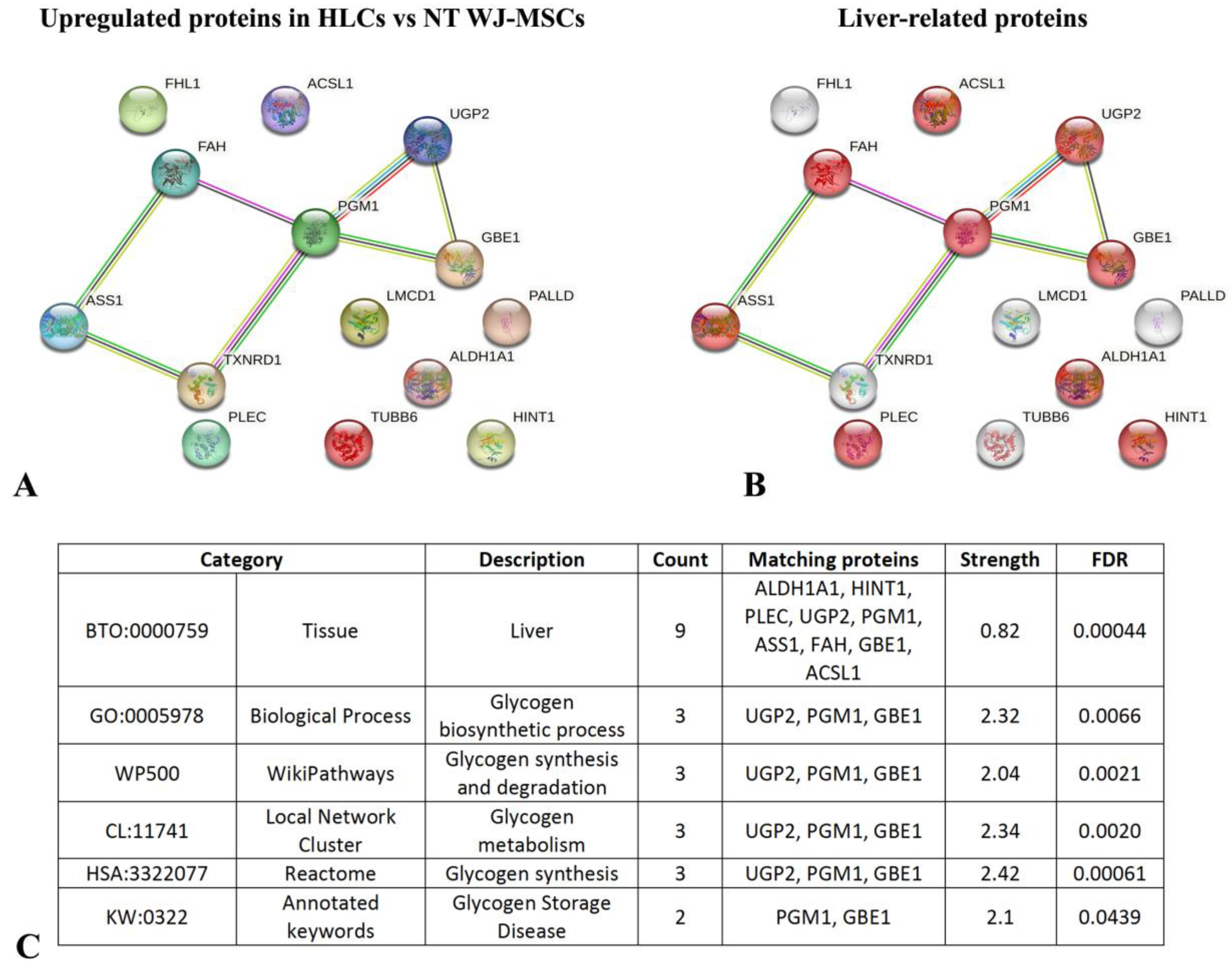 Biology 14 00124 g017