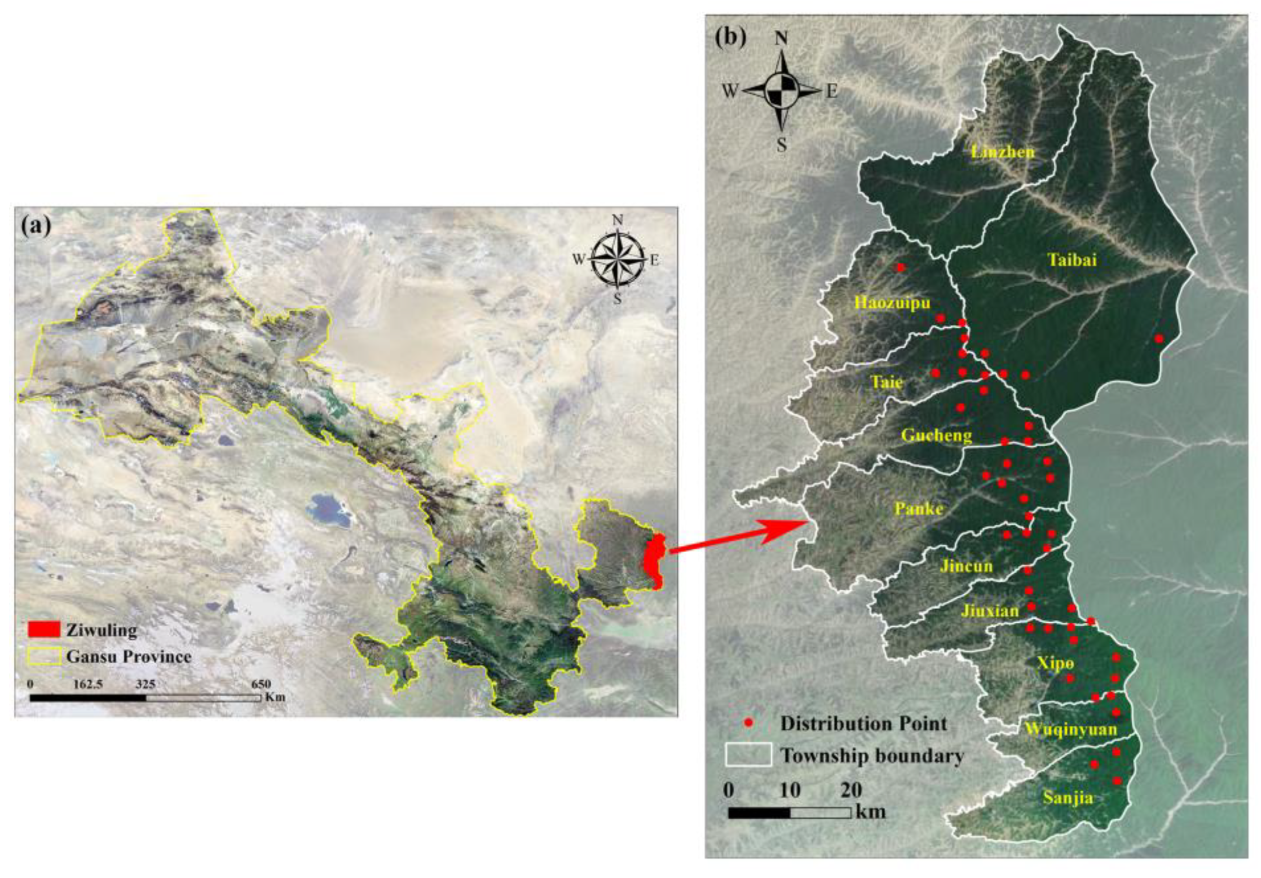 Biology 14 00126 g001