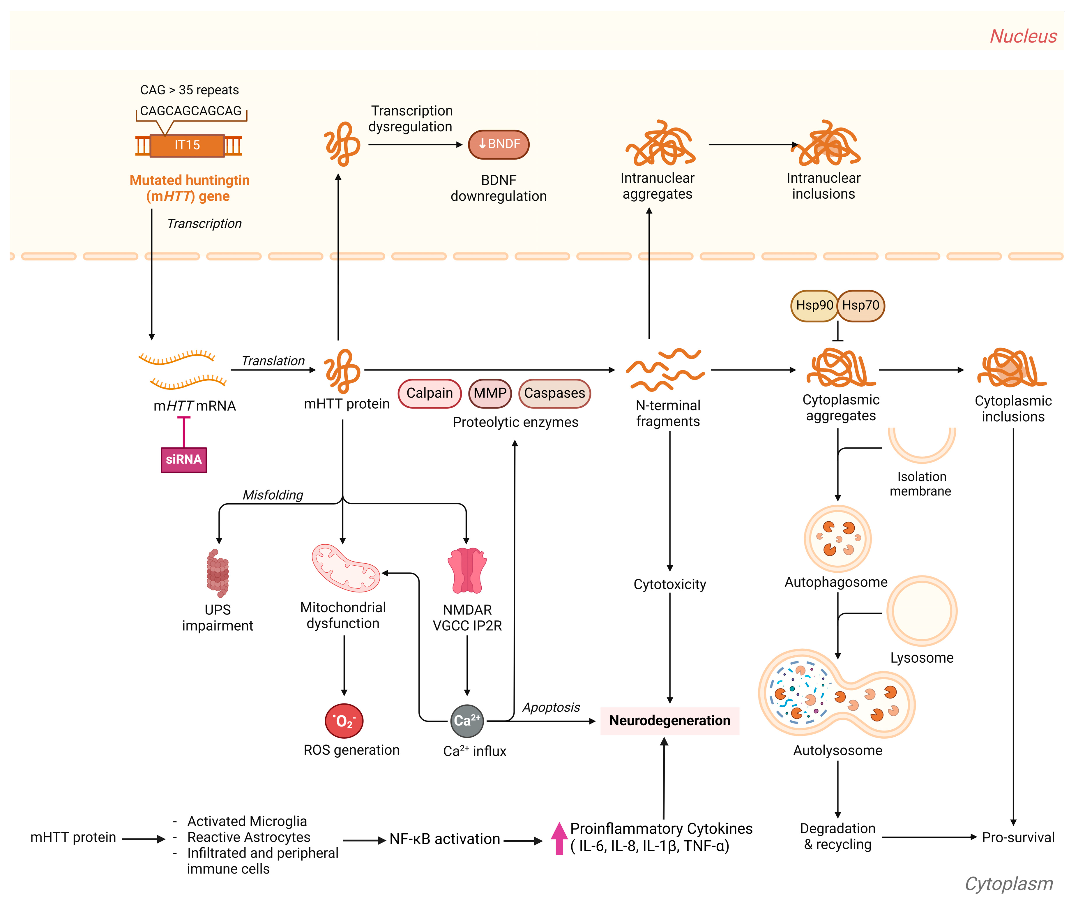 Biology 14 00129 g001