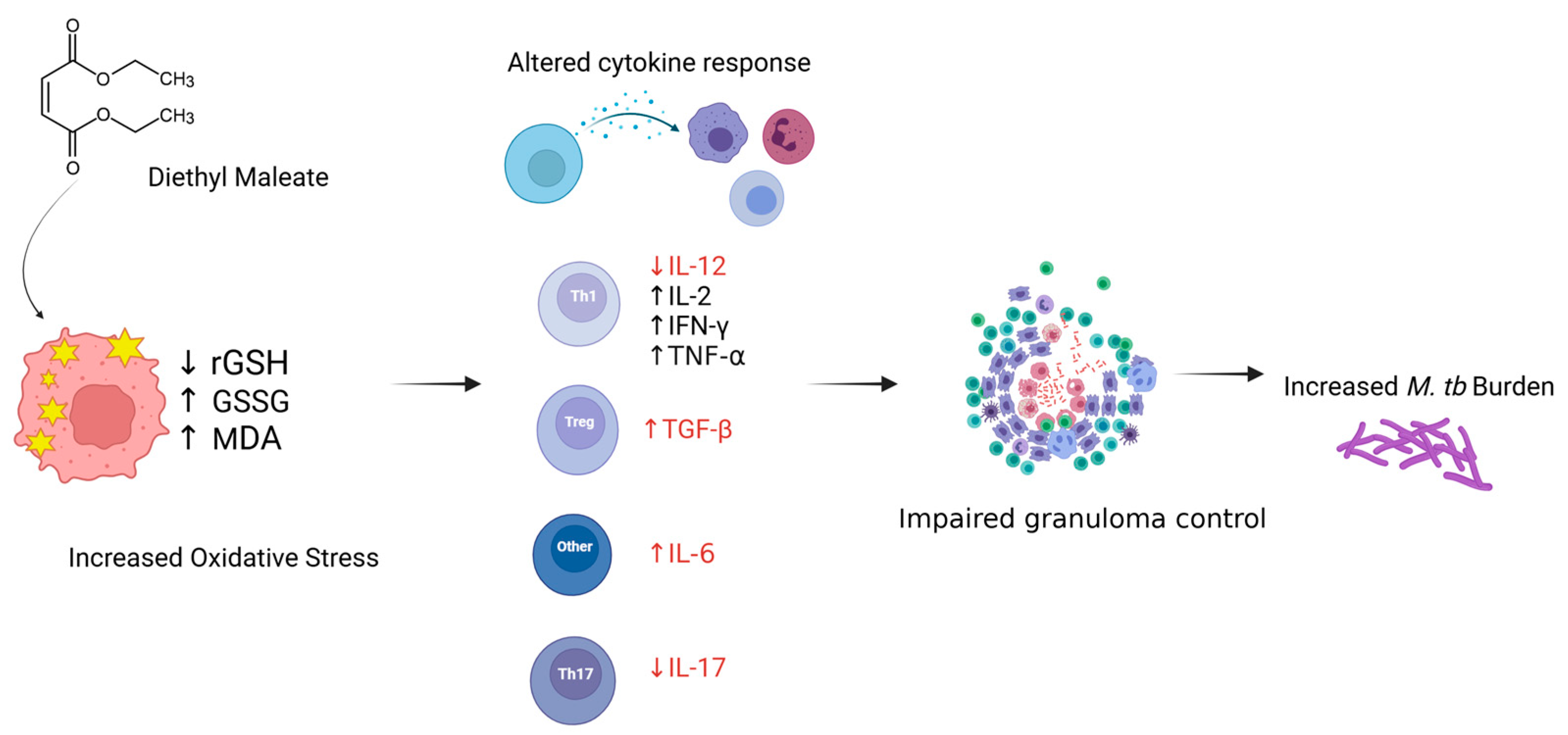 Biology 14 00131 g010
