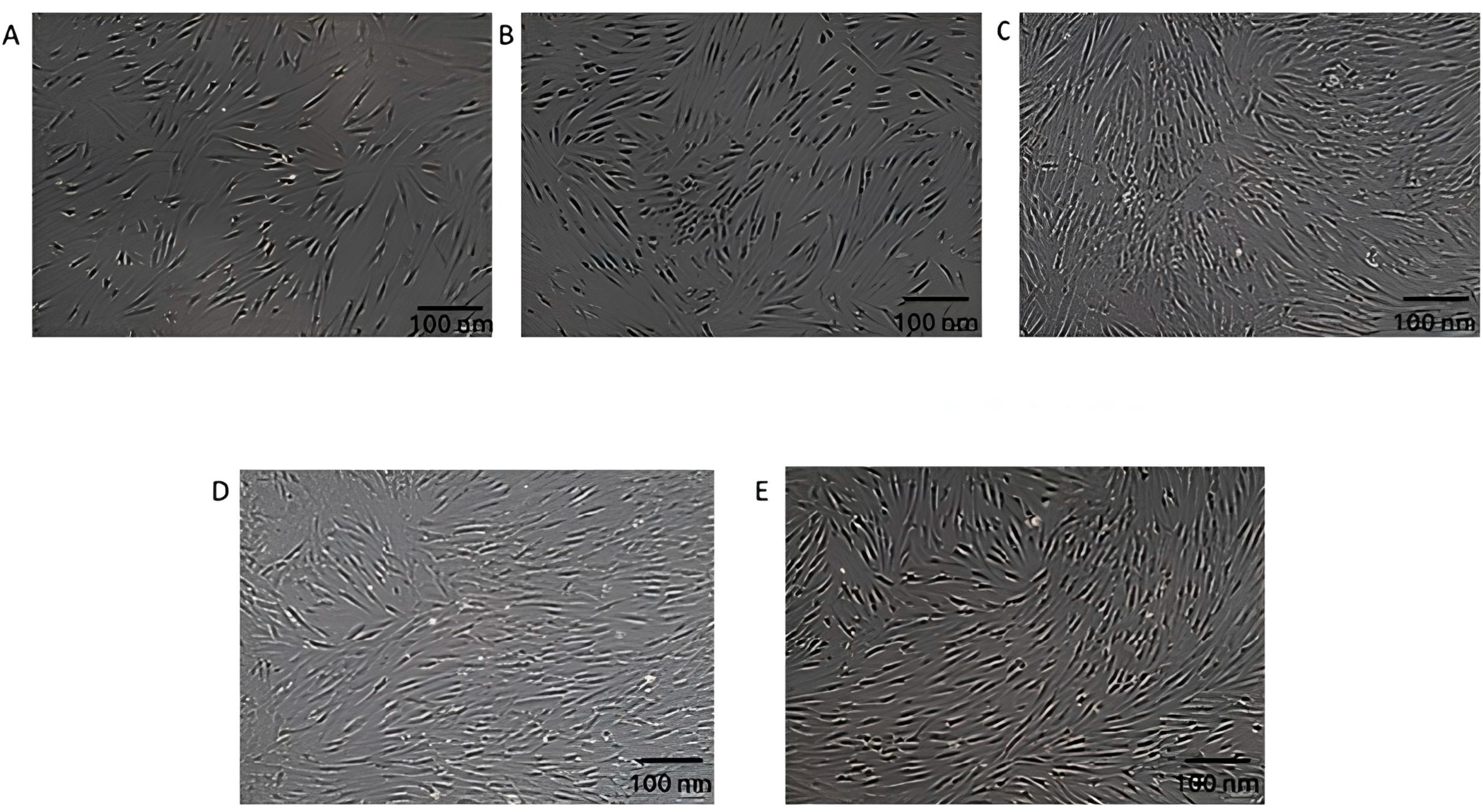 Biology 14 00150 g003