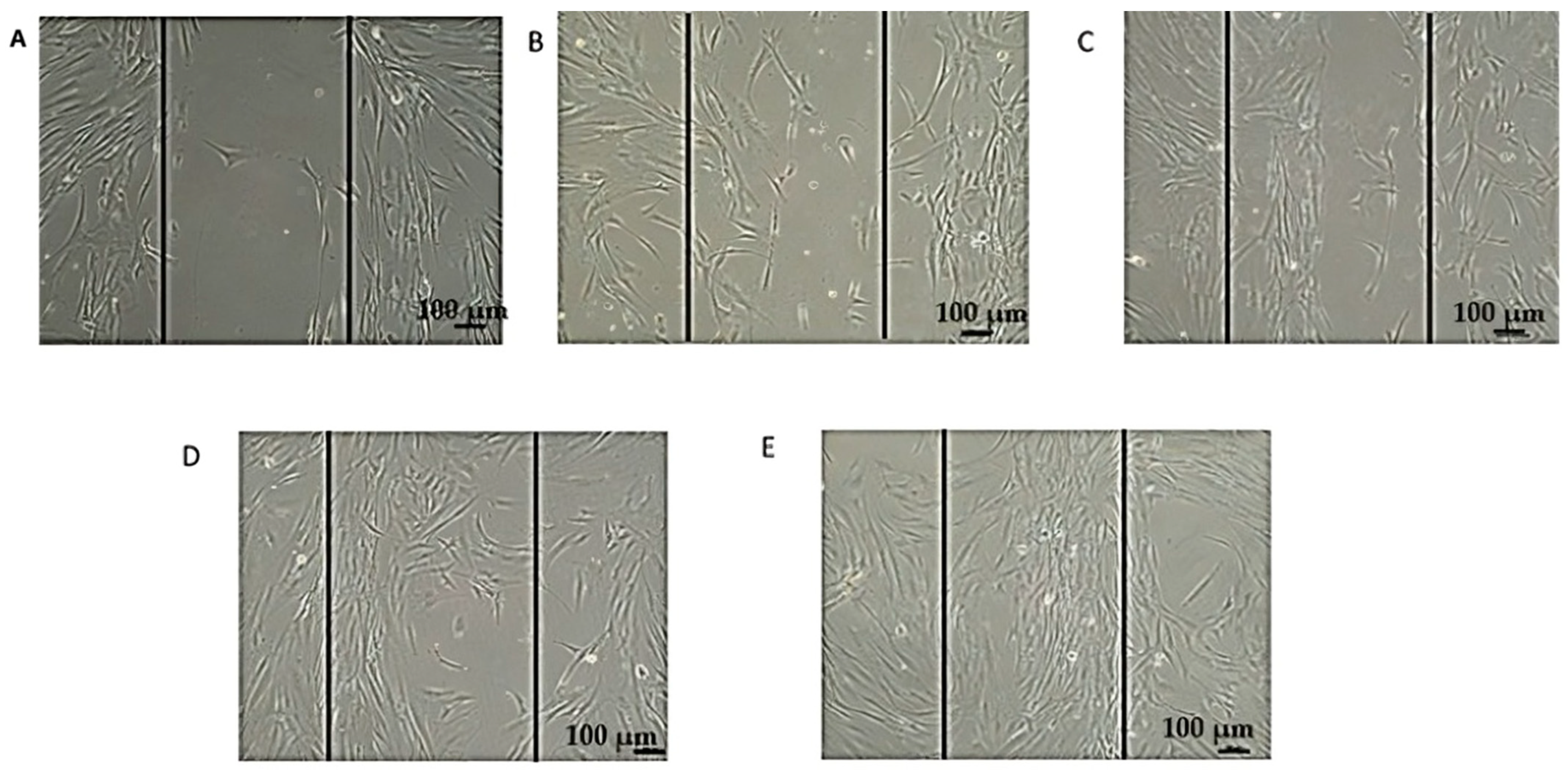 Biology 14 00150 g007