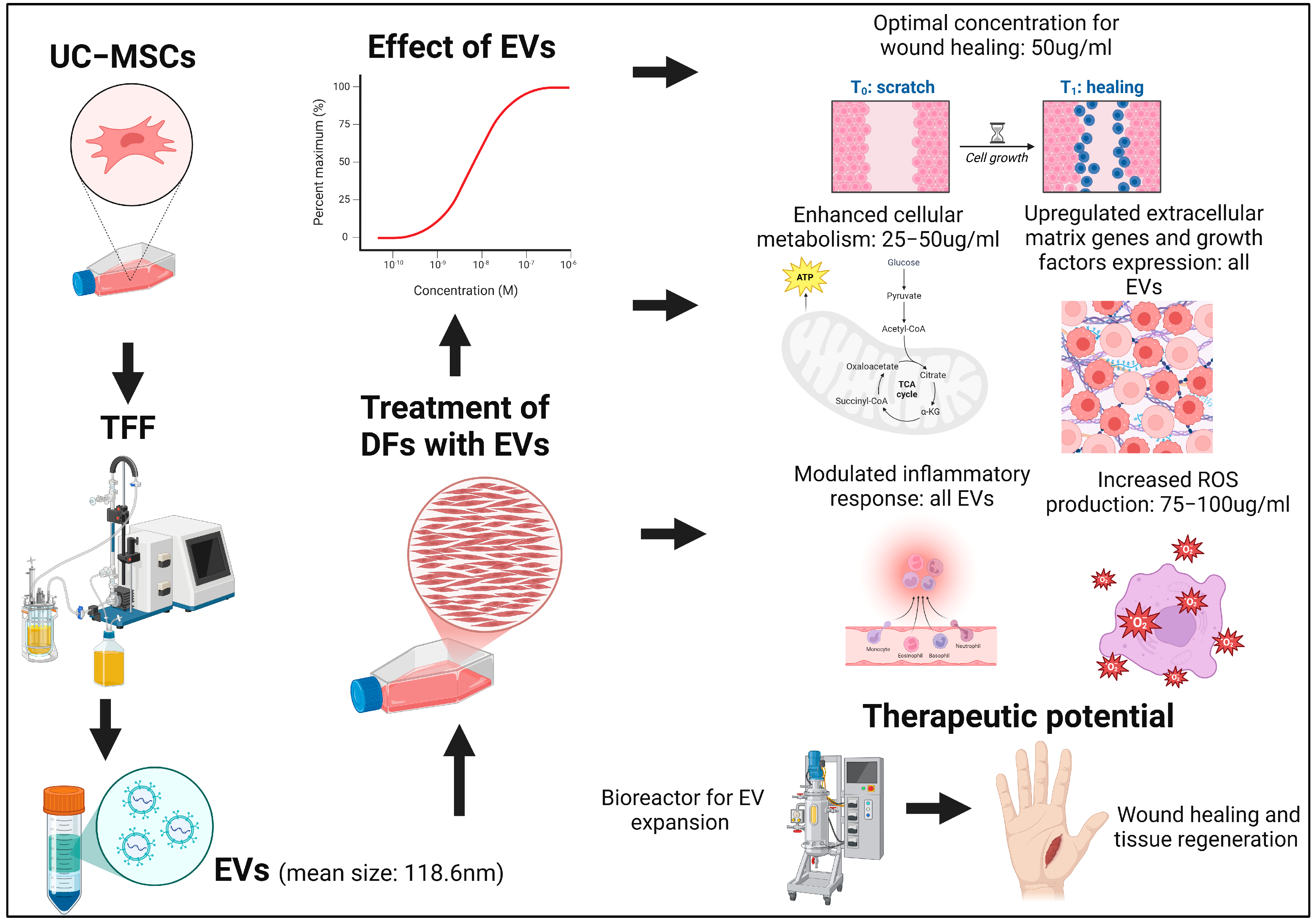 Biology 14 00150 g012