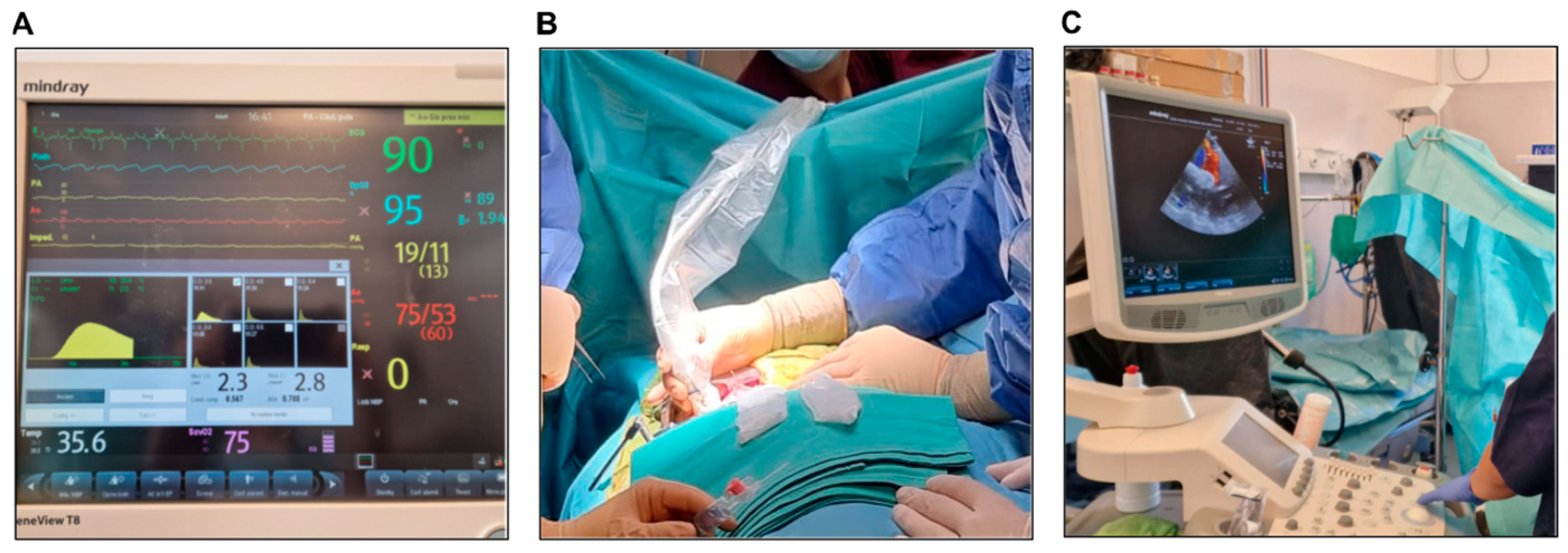 Biology 14 00170 g007 Biology 14 00170 g007