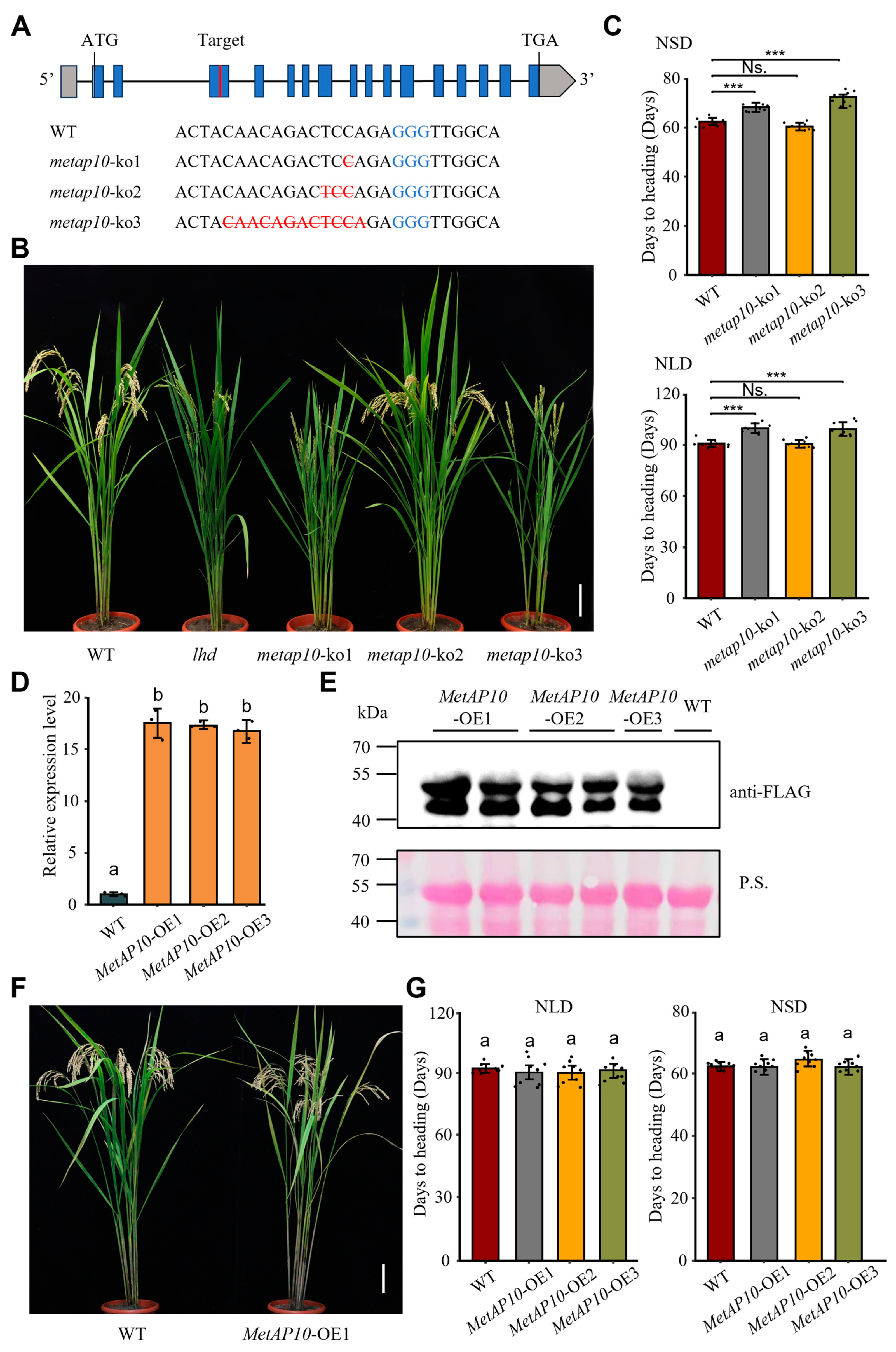 Biology 14 00178 g004