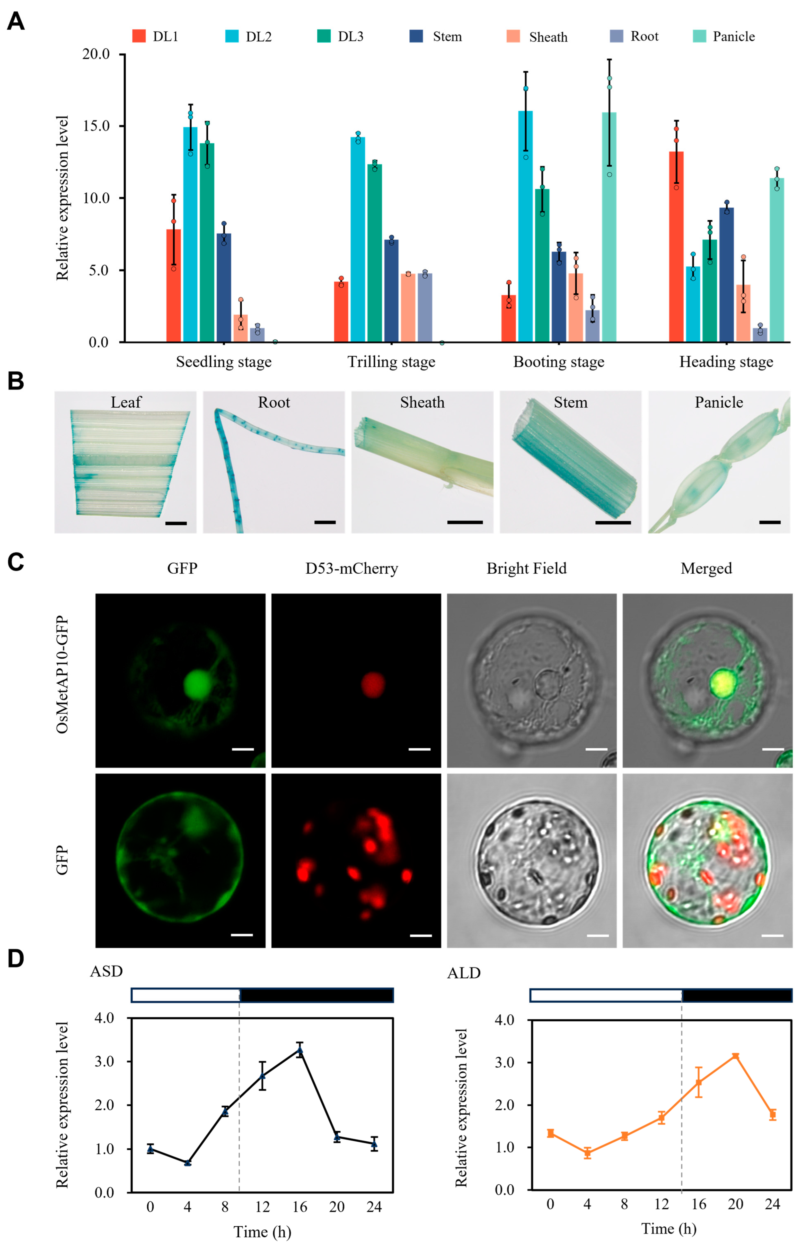 Biology 14 00178 g005