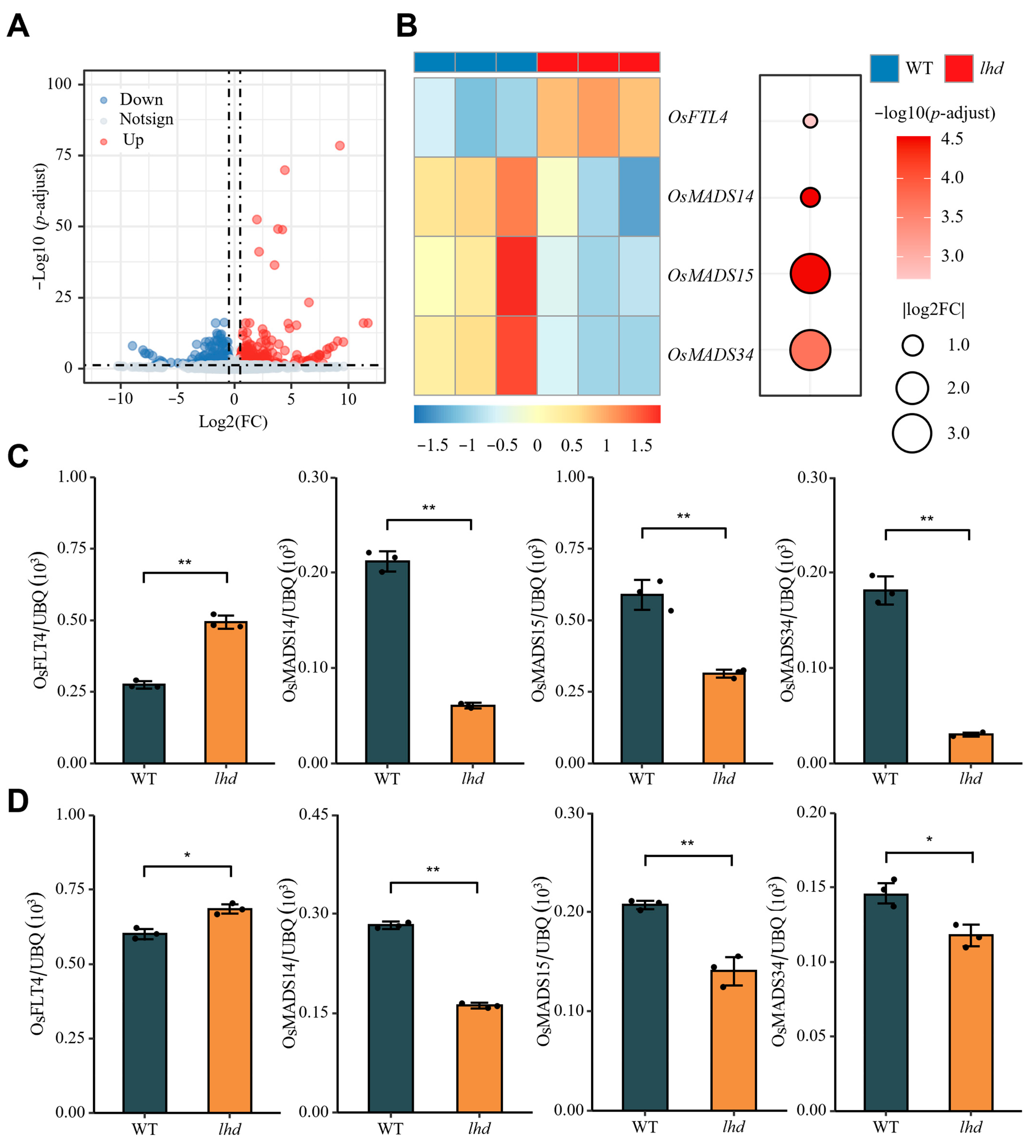 Biology 14 00178 g006