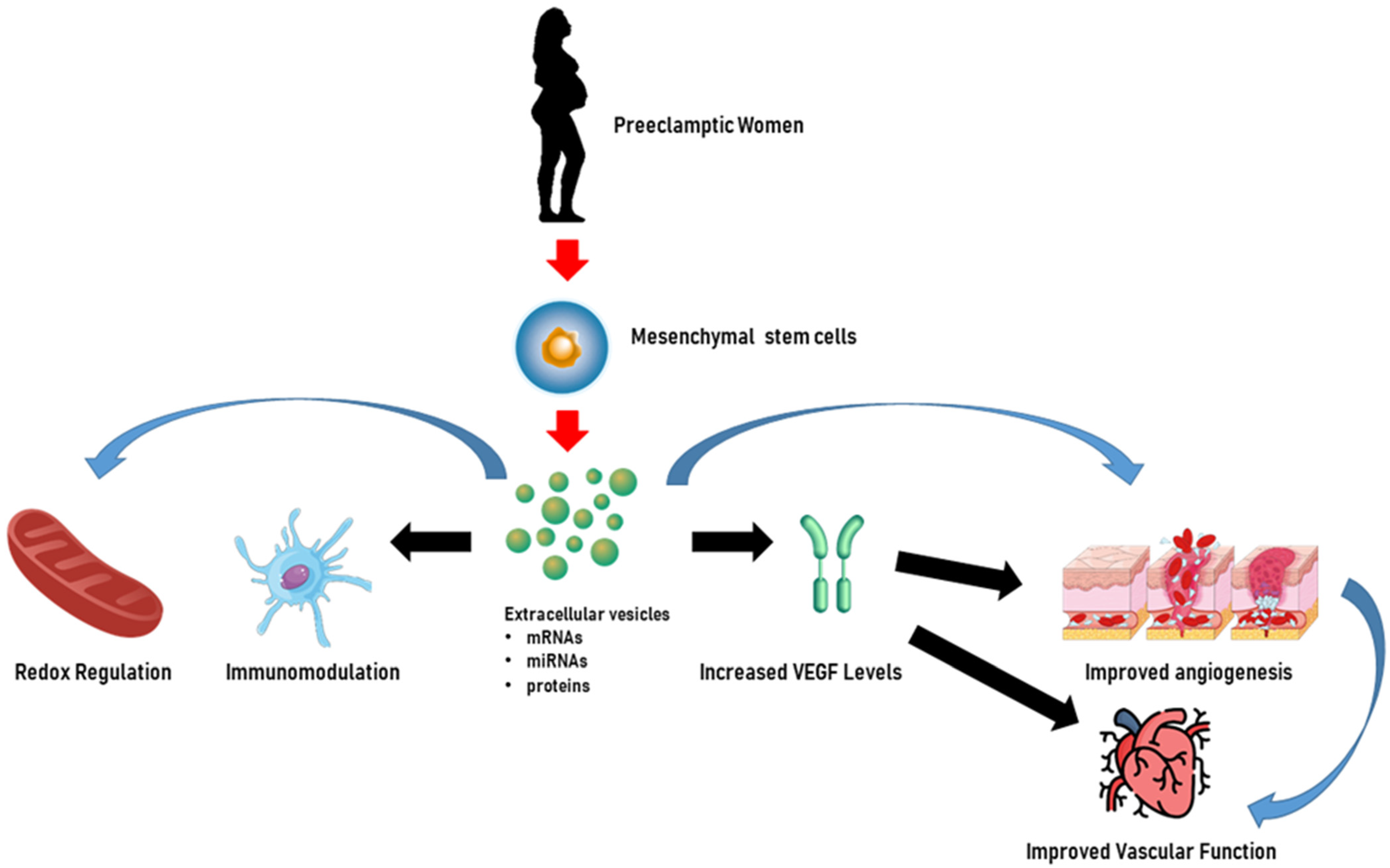 Biology 14 00240 g003