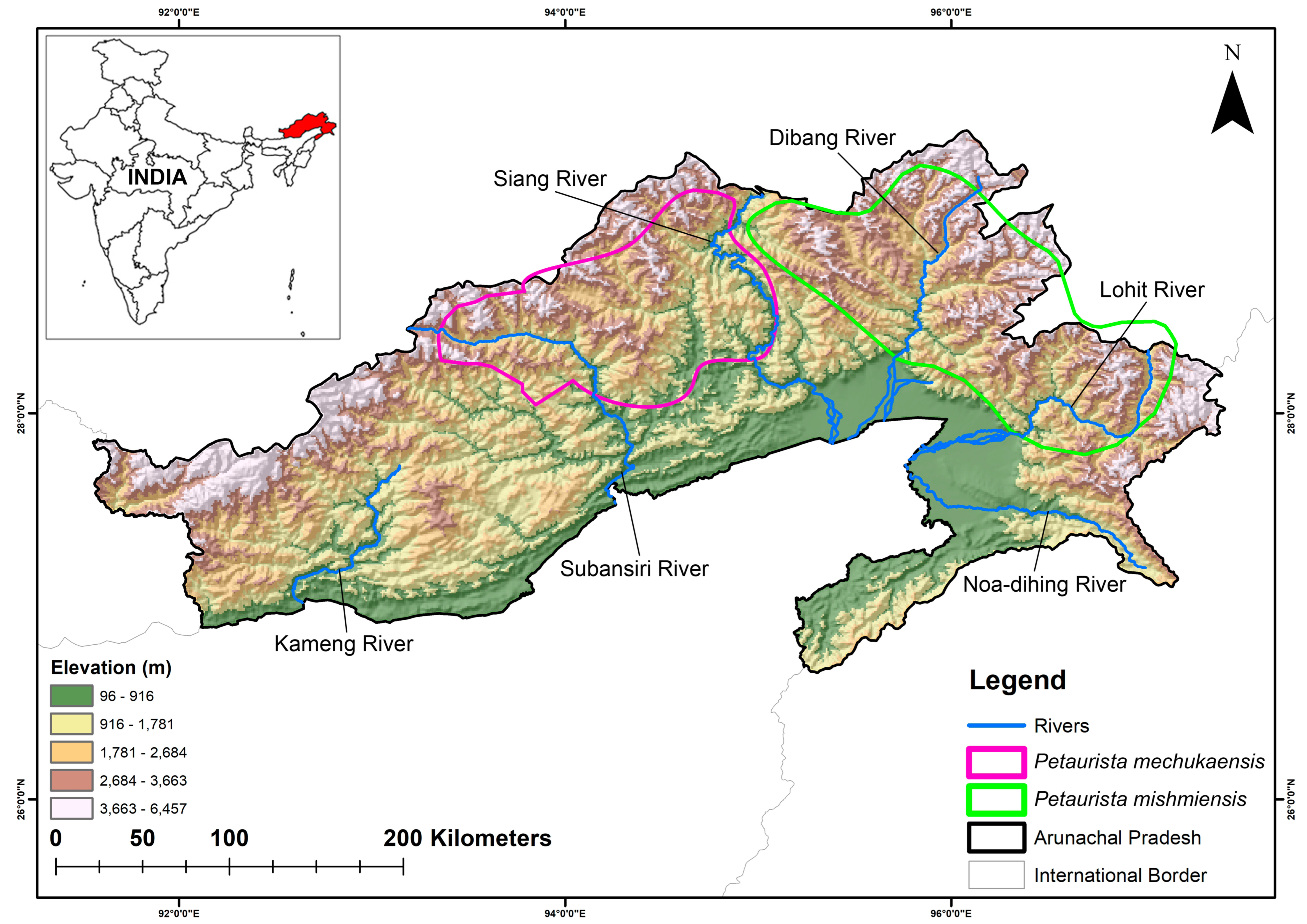 Biology 14 00242 g001