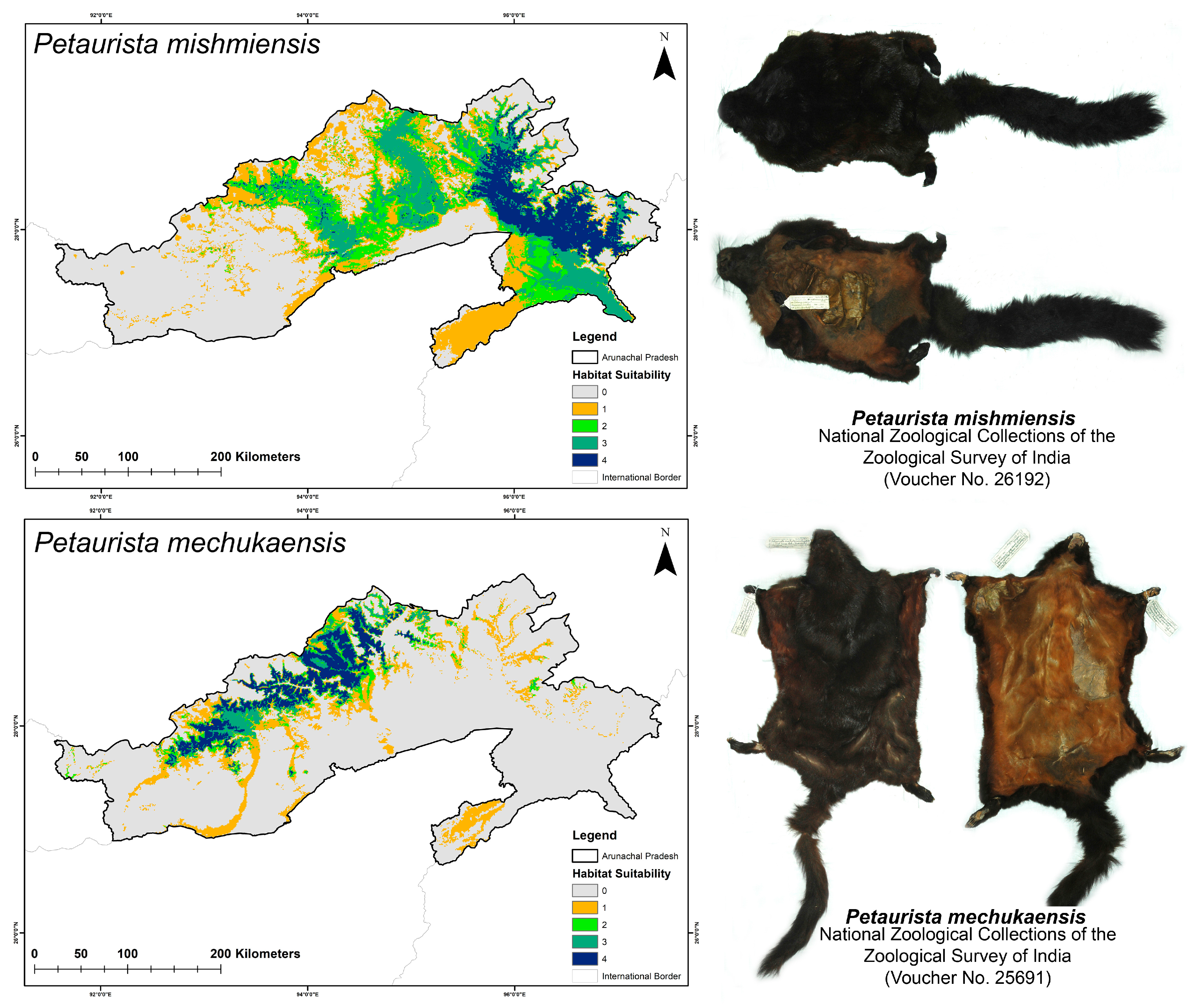 Biology 14 00242 g003