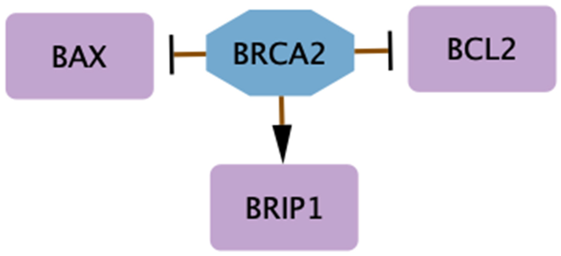 Biology 14 00253 g002