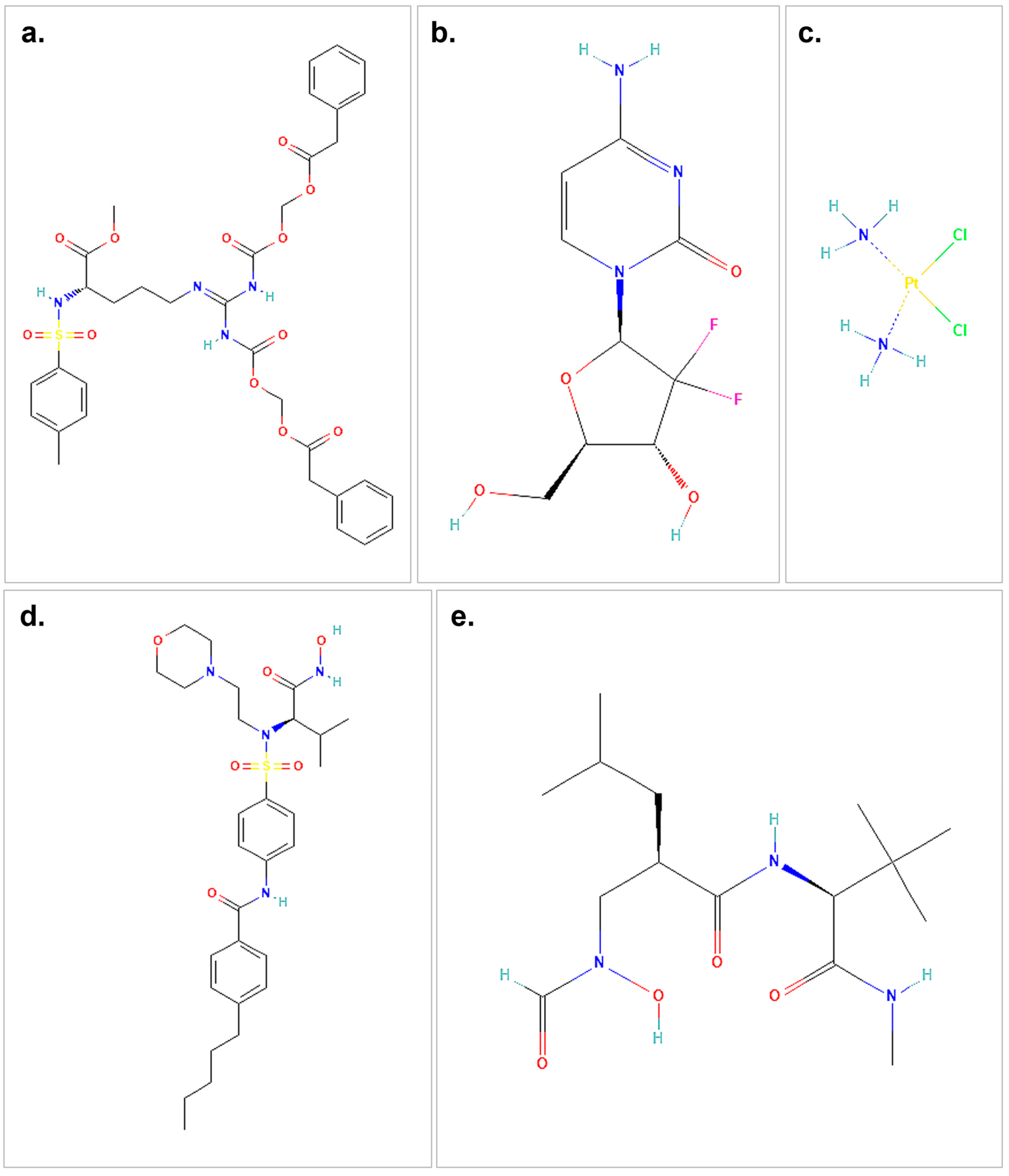 Biology 14 00263 g001
