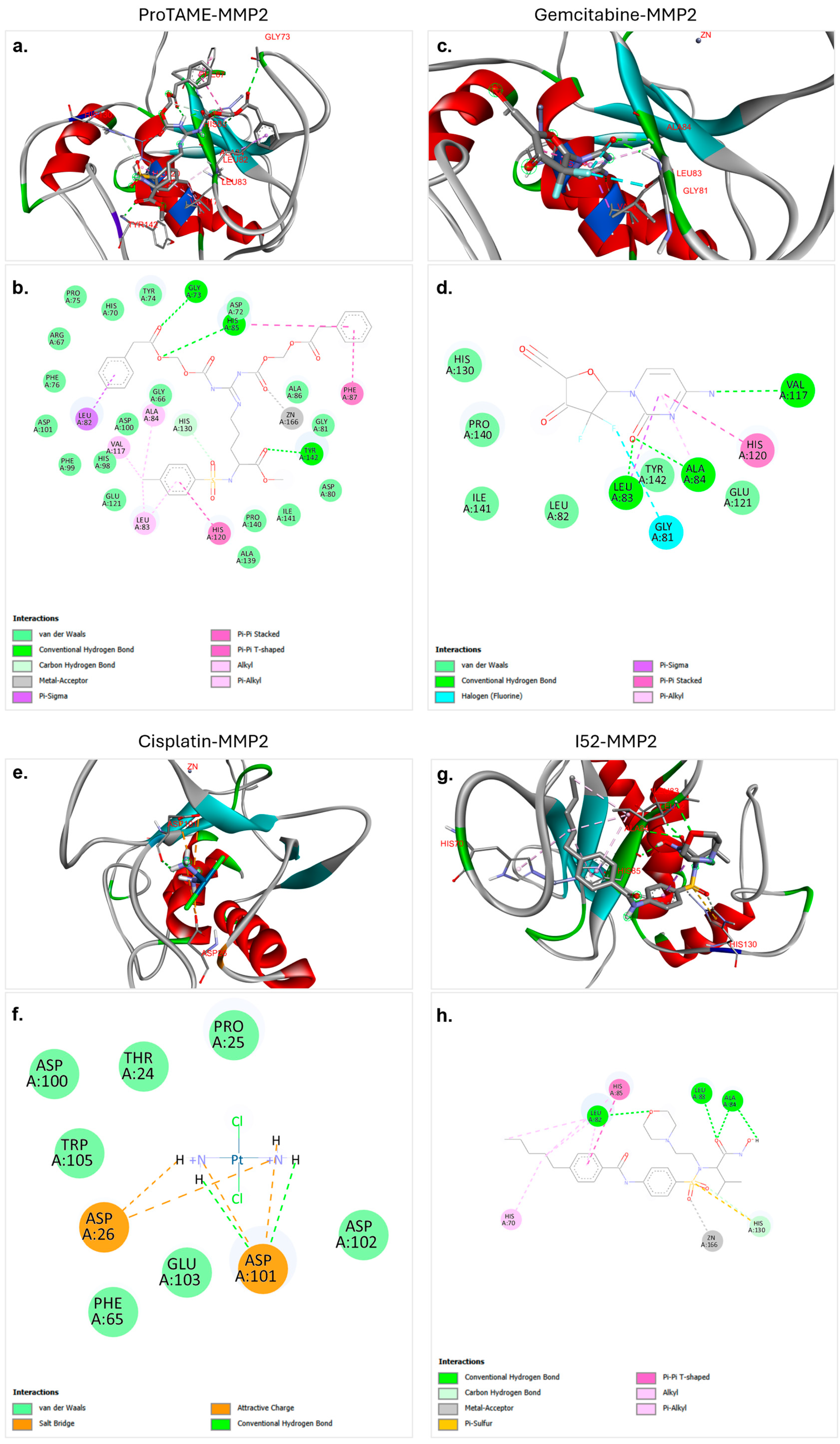 Biology 14 00263 g002