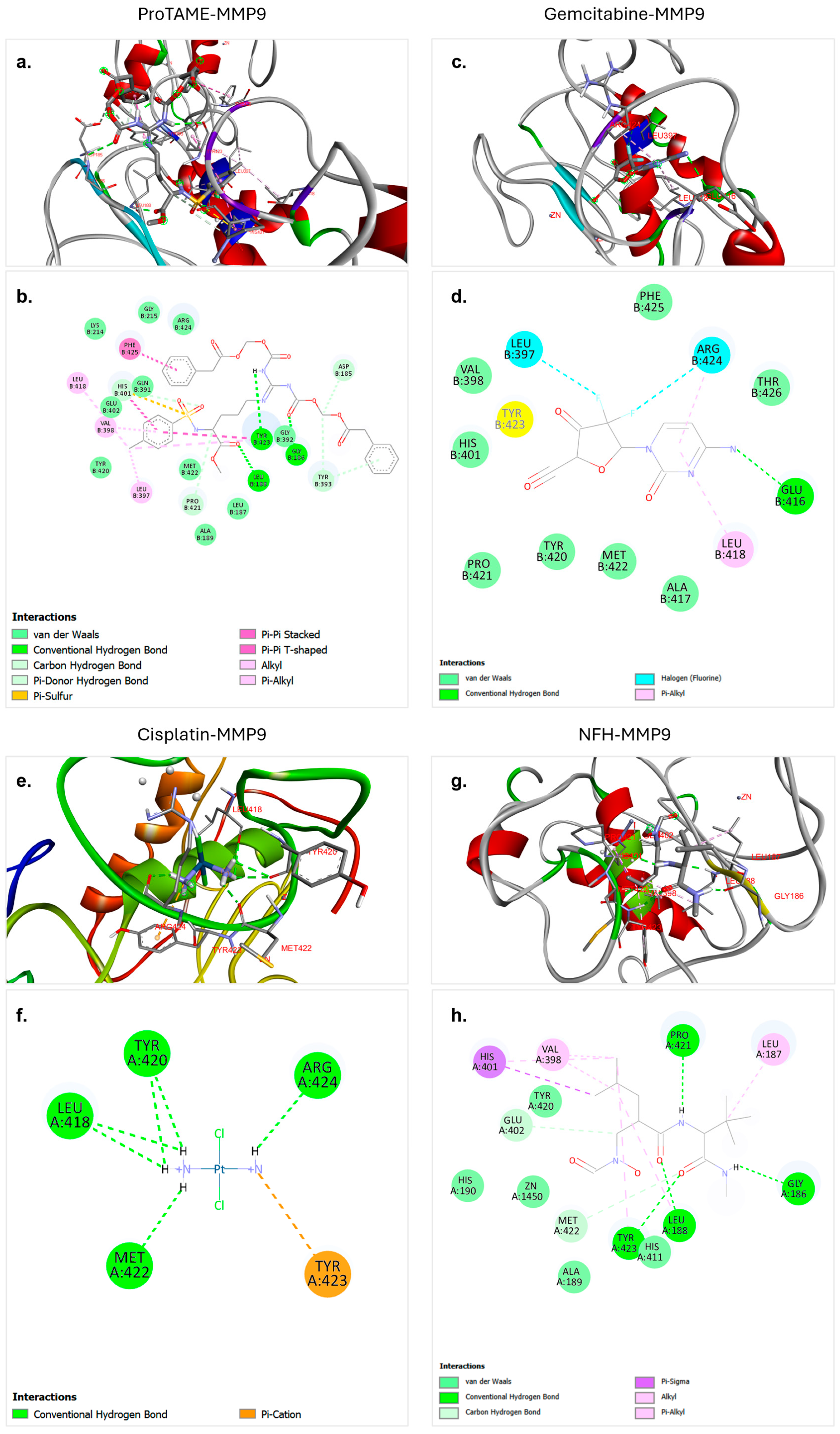 Biology 14 00263 g003