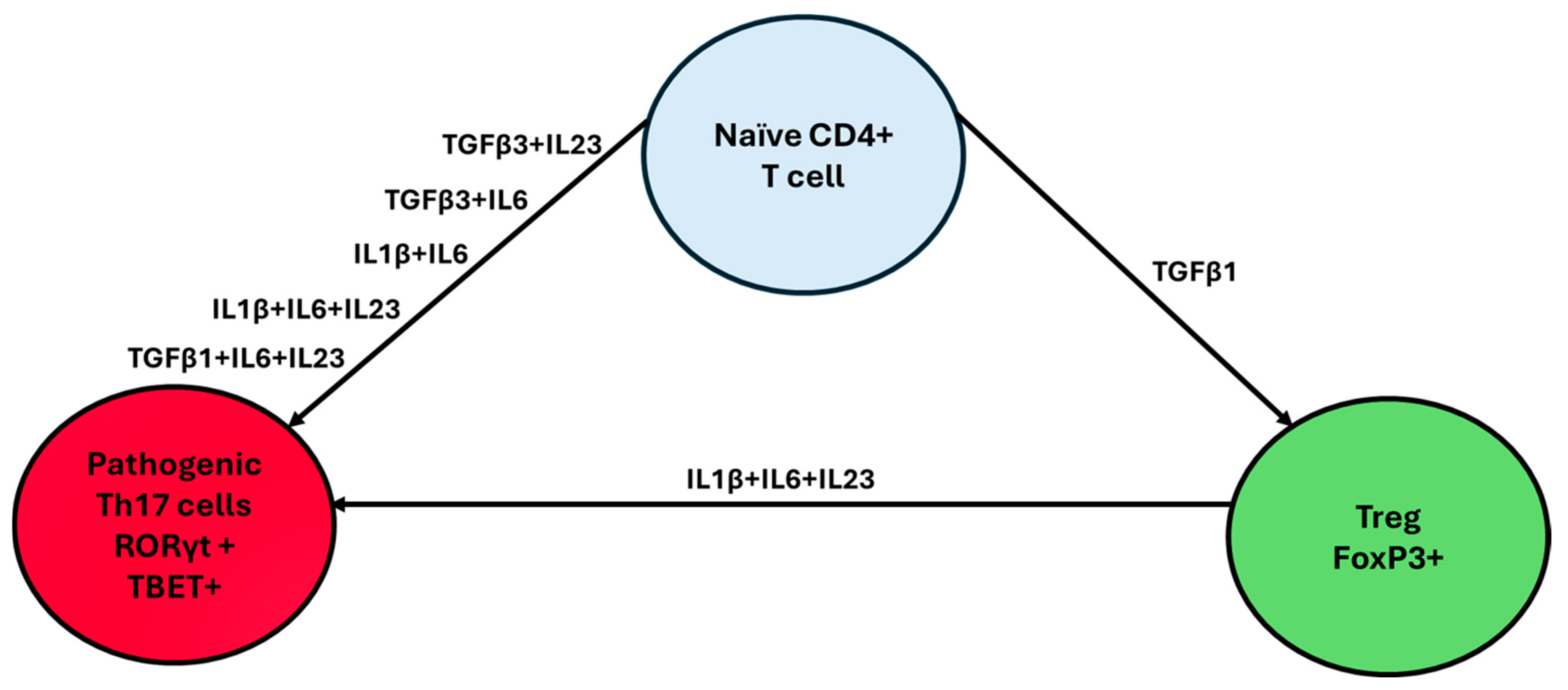 Biology 14 00275 g001 Biology 14 00275 g001