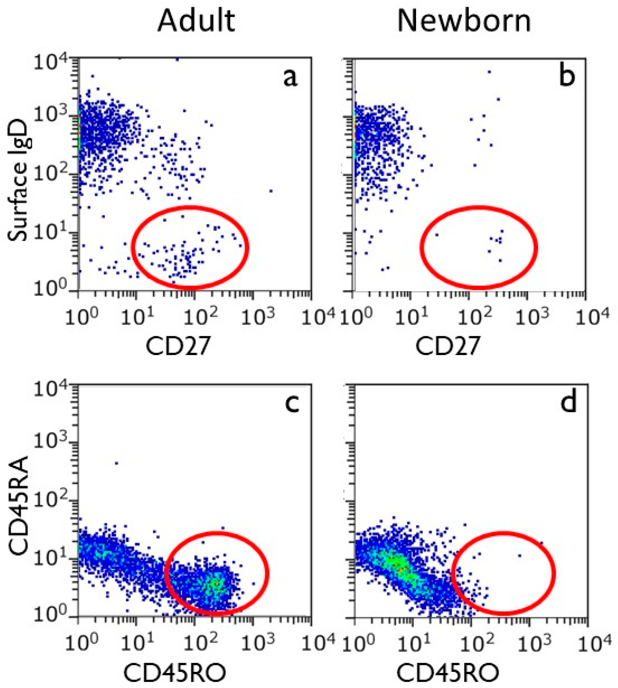 Biology 14 00299 g002