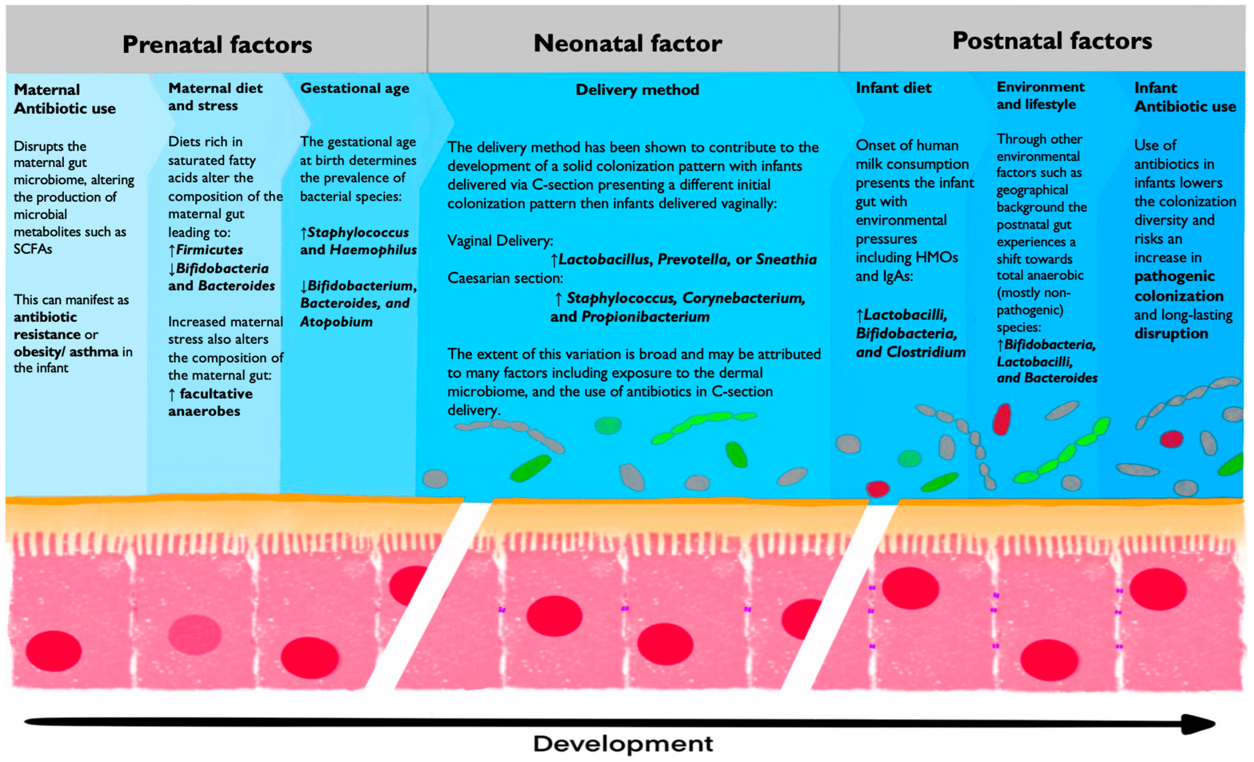 Biology 14 00299 g004