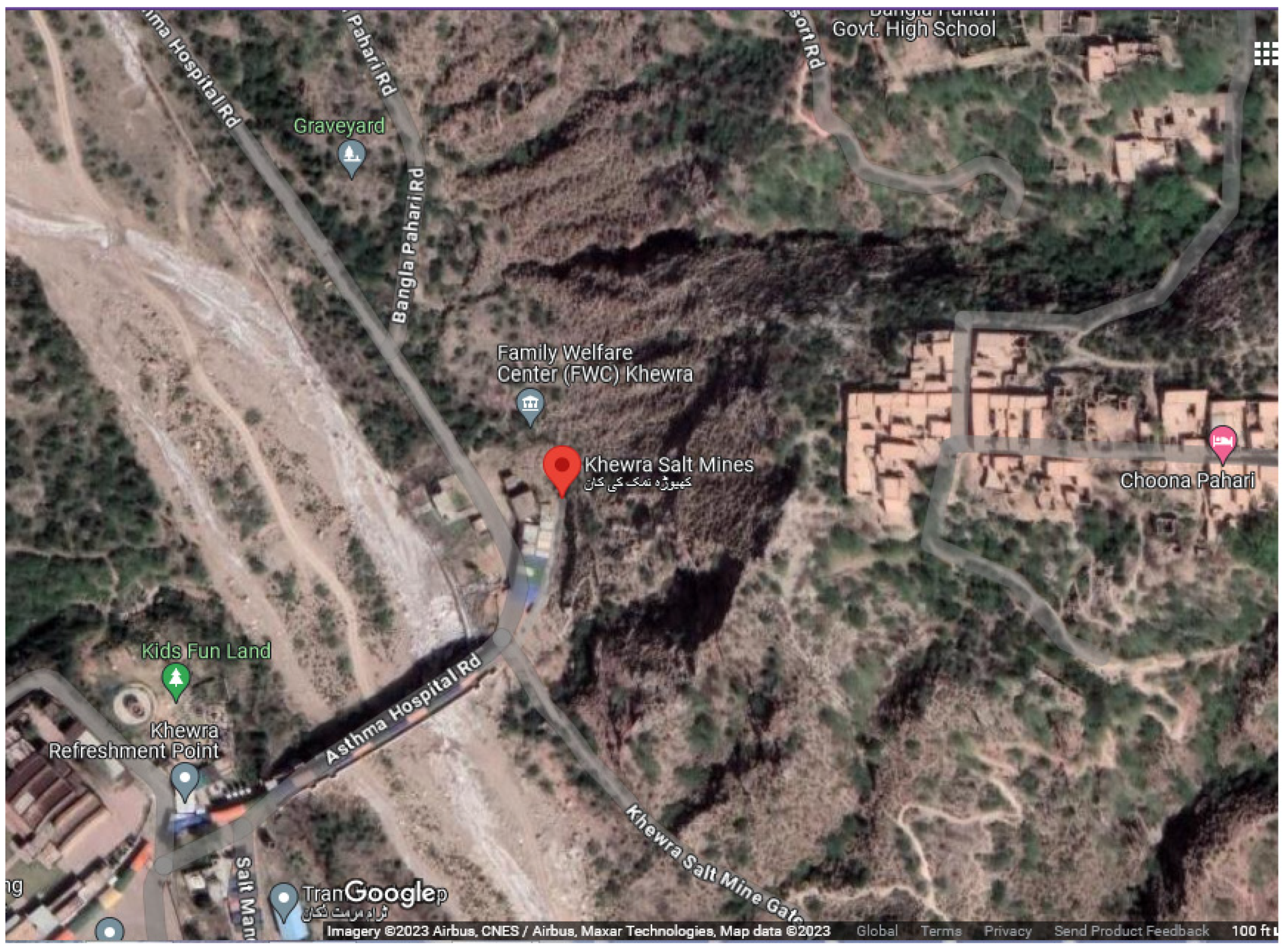 Biology 14 00316 g002