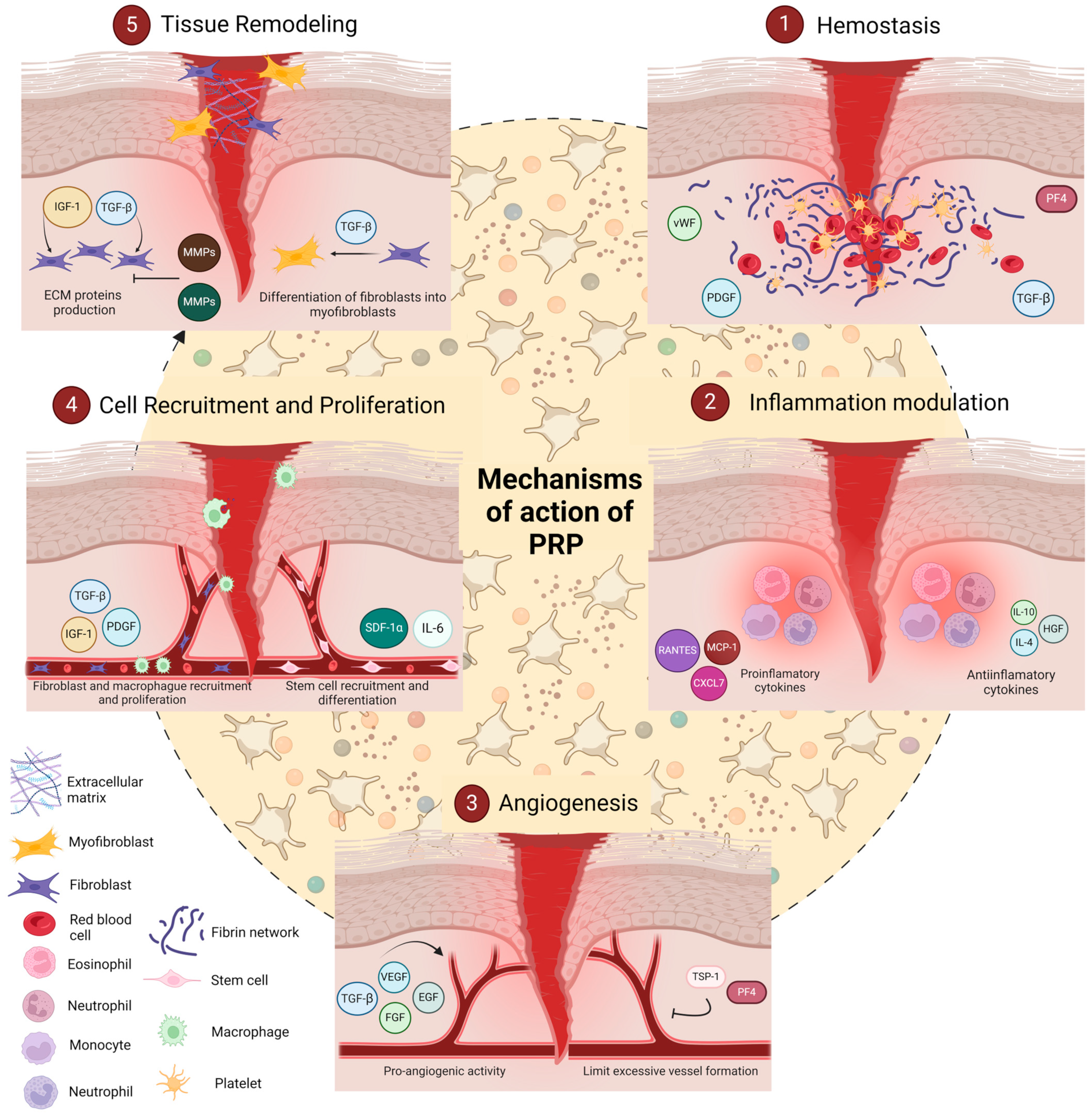 Biology 14 00319 g003