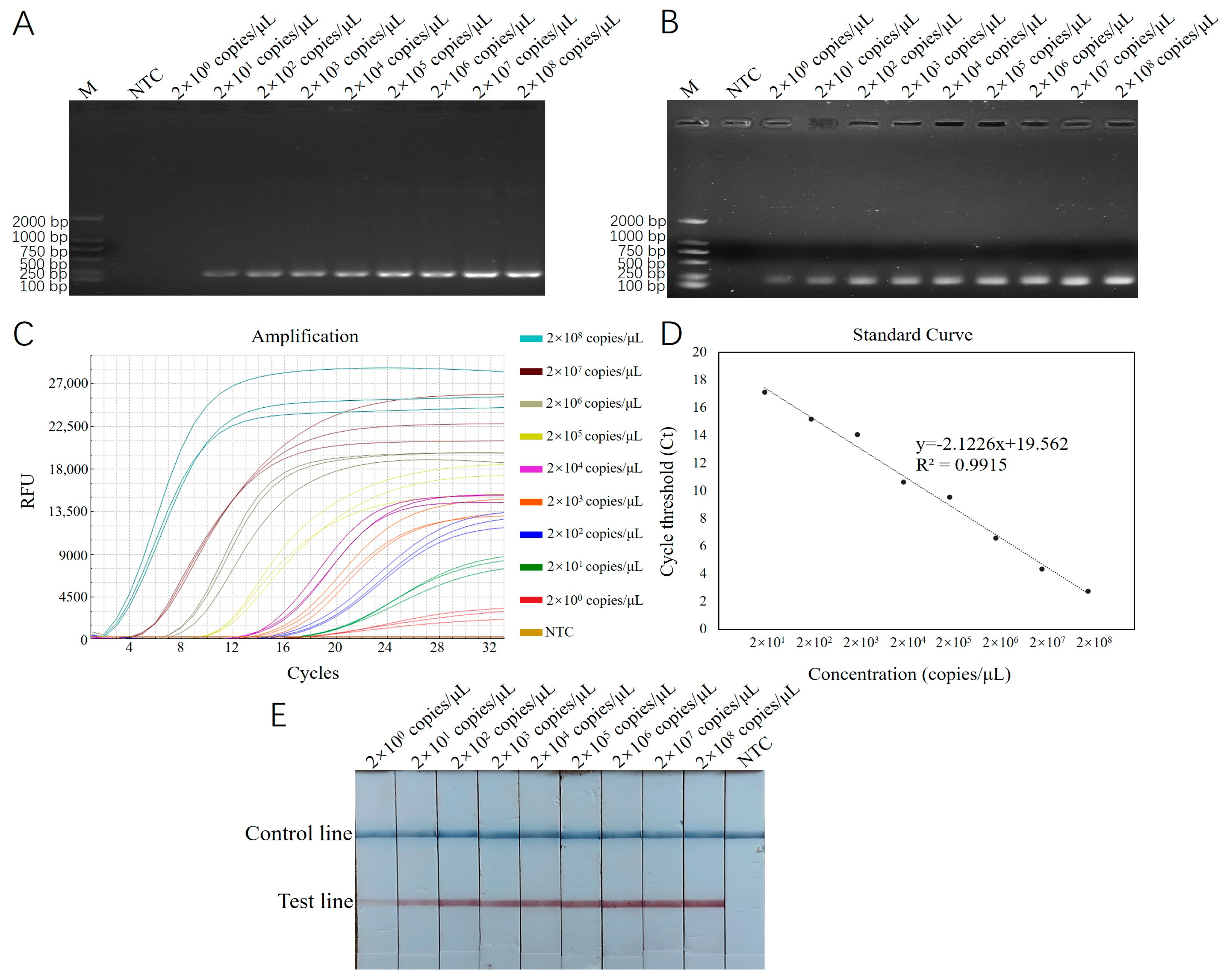 Biology 14 00330 g004