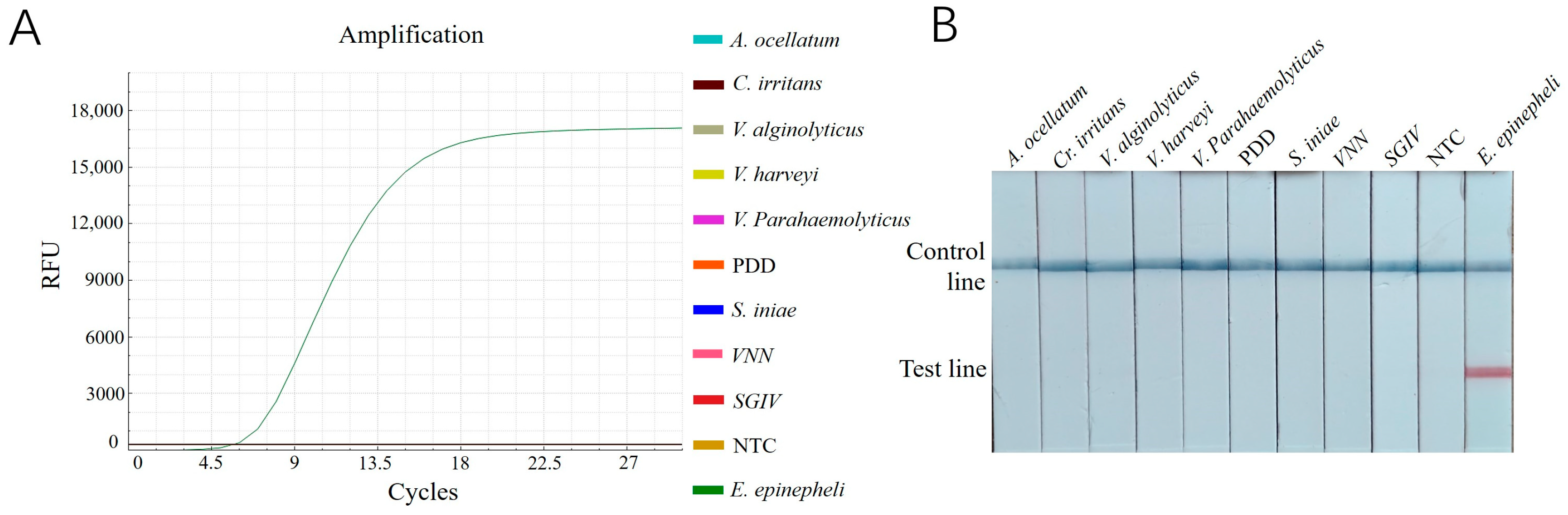 Biology 14 00330 g005