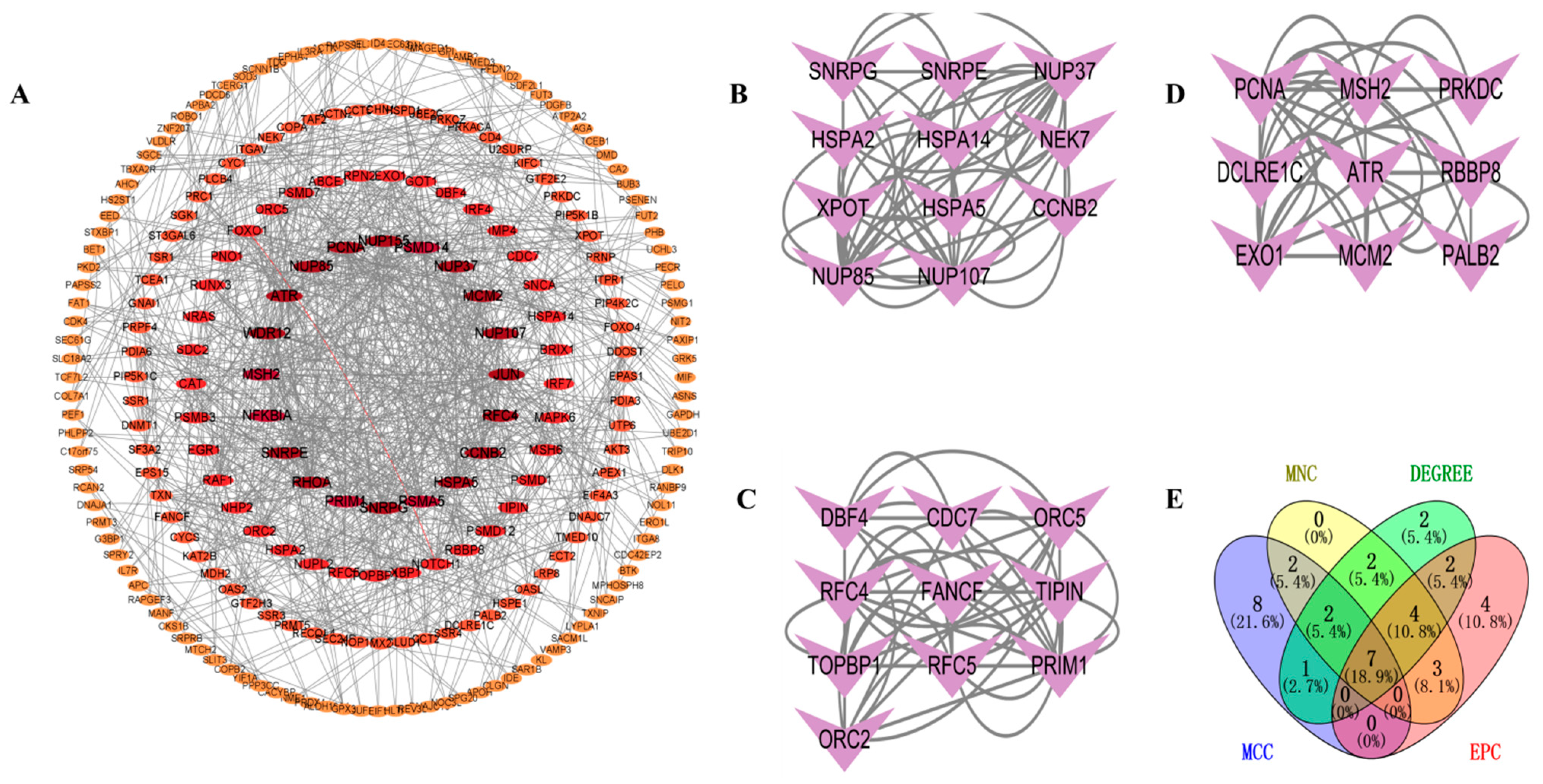 Biology 14 00331 g004