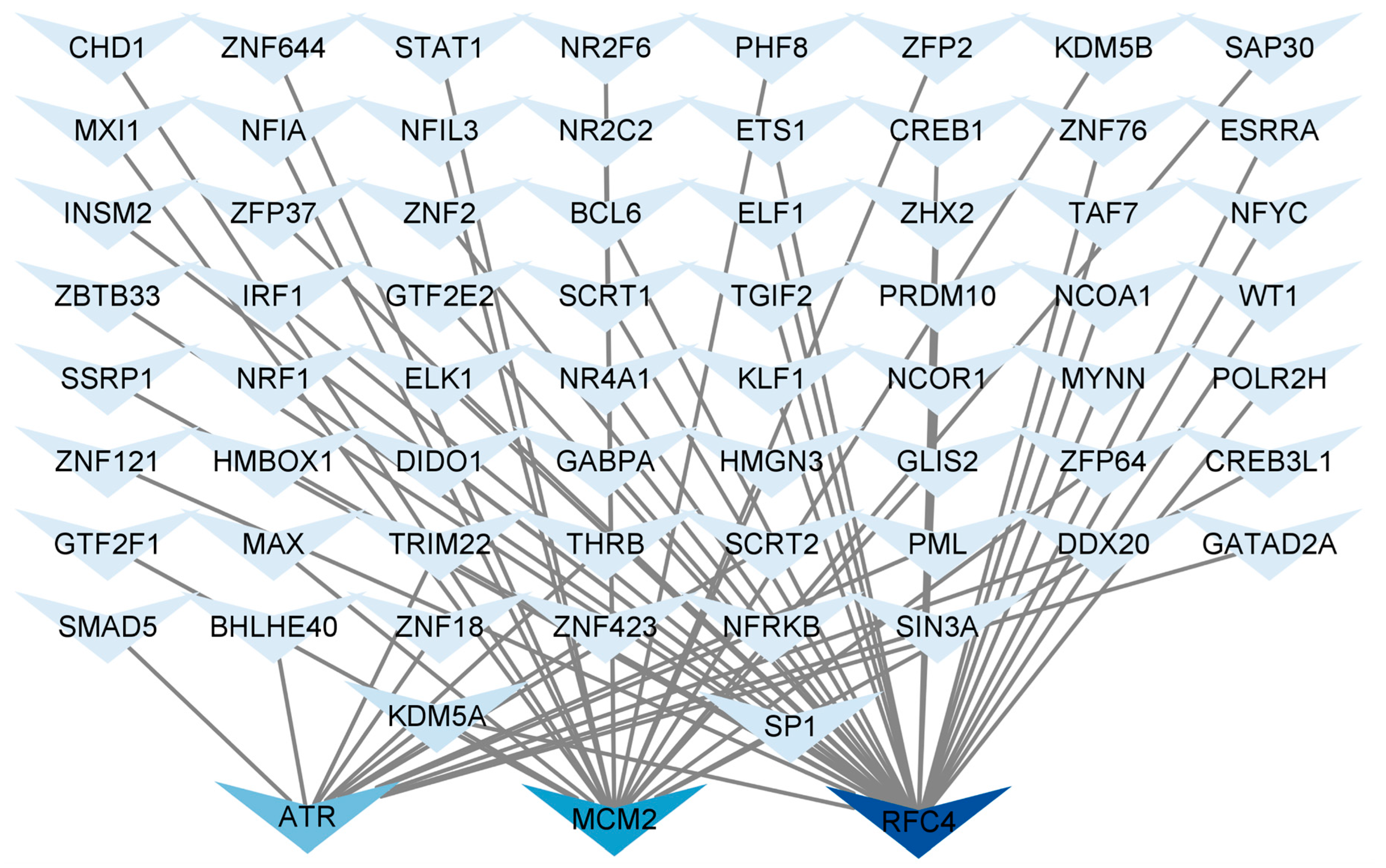 Biology 14 00331 g007