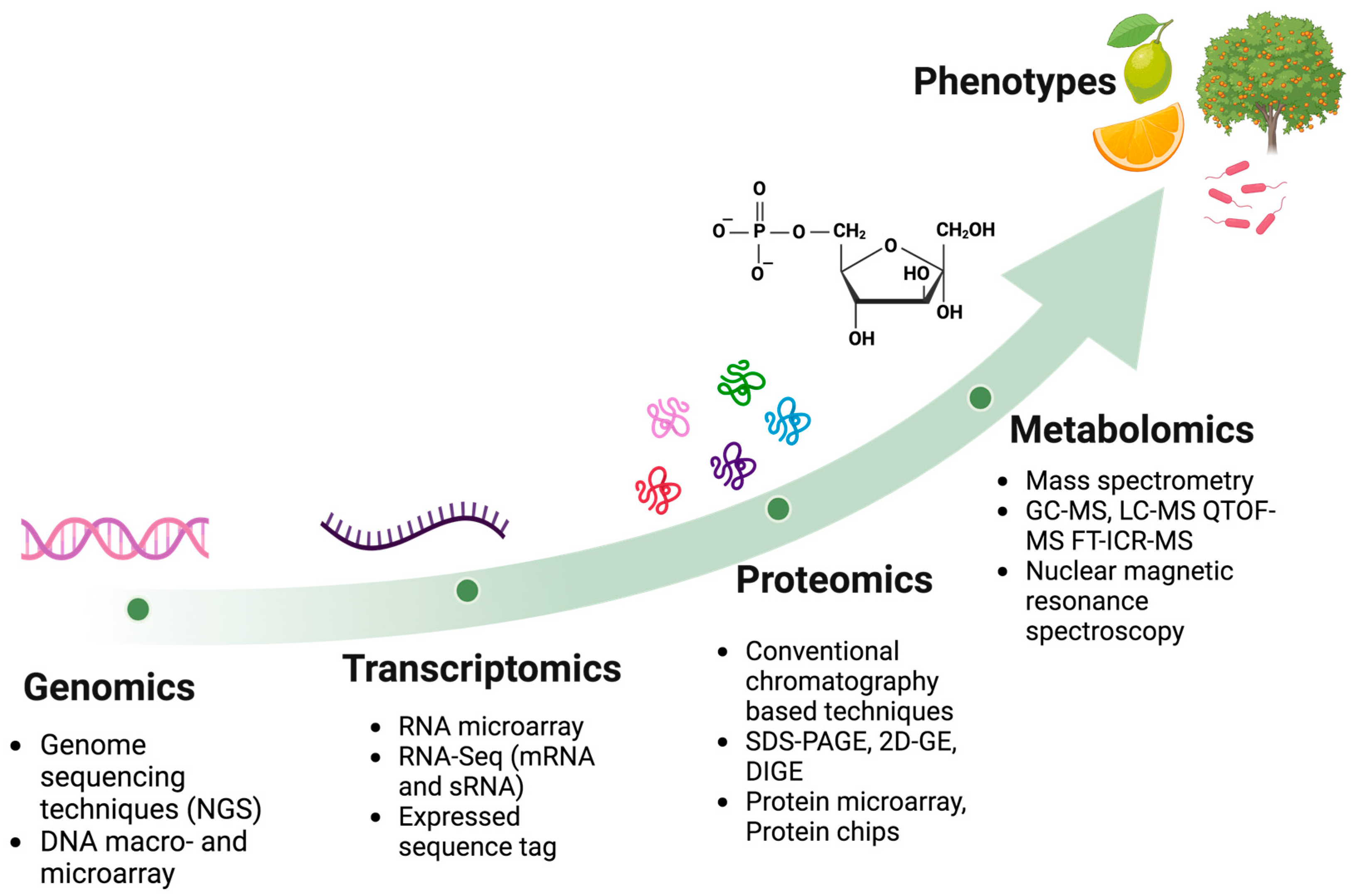 Biology 14 00335 g004 Biology 14 00335 g004