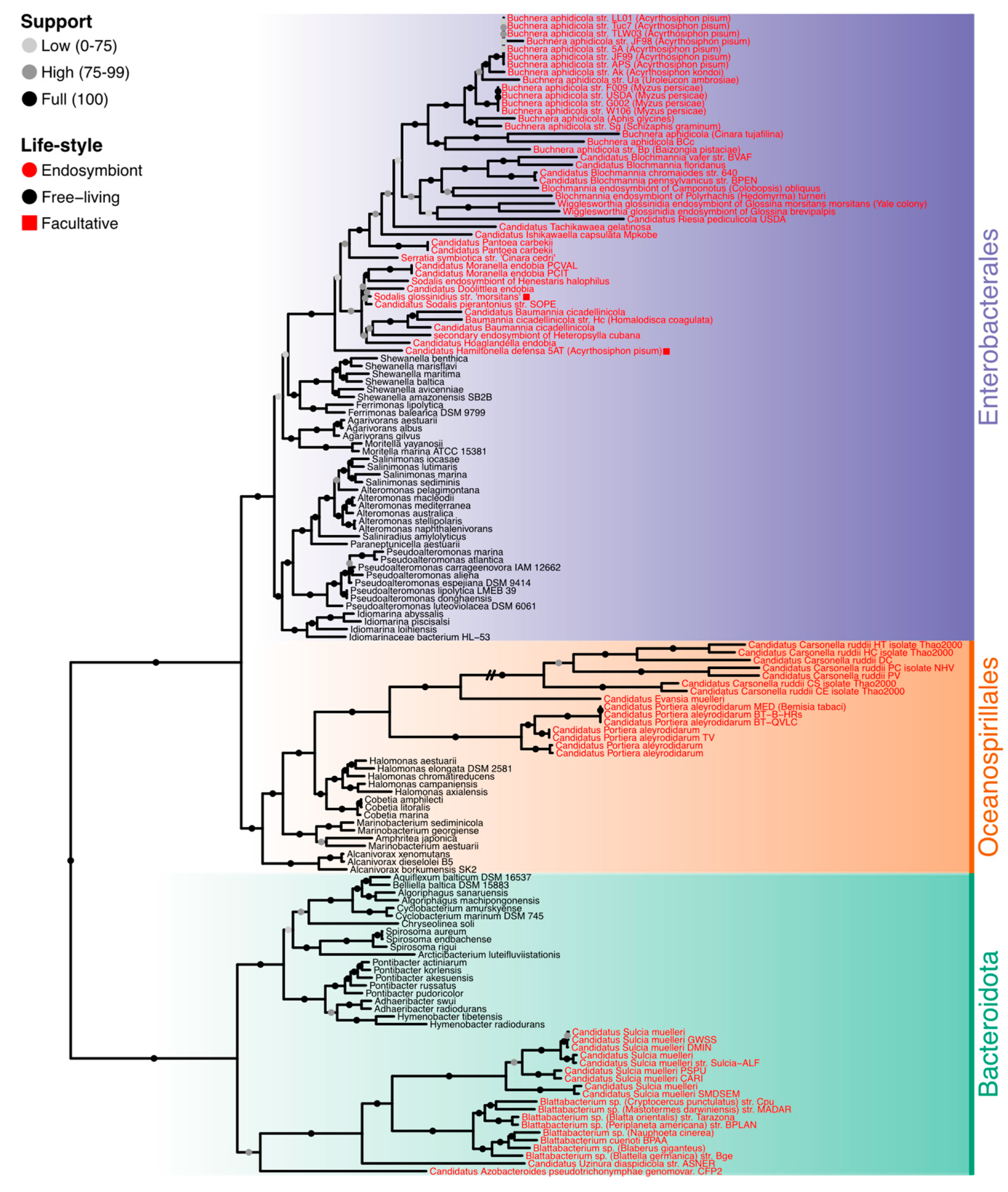 Biology 14 00338 g001
