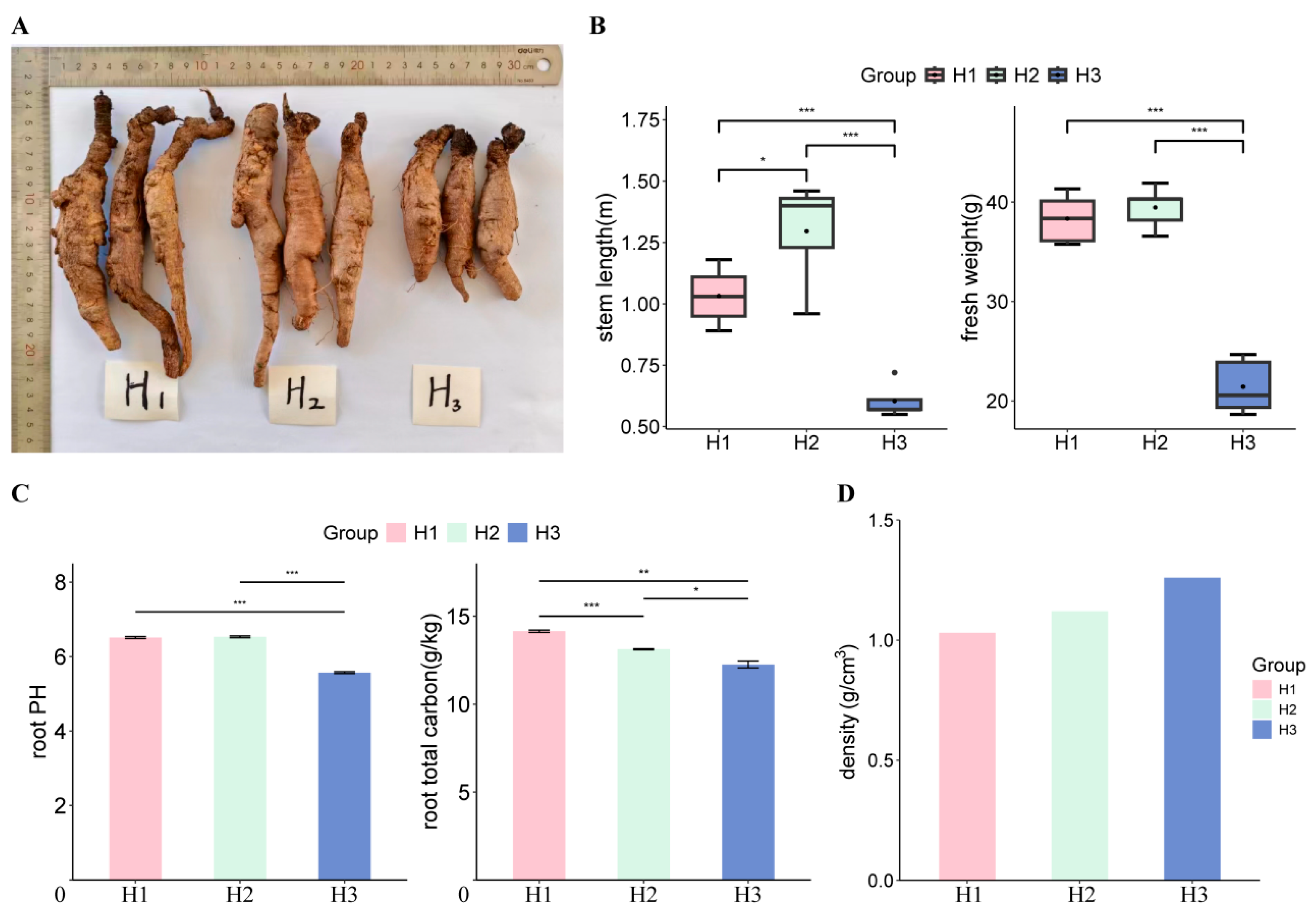 Biology 14 00345 g001
