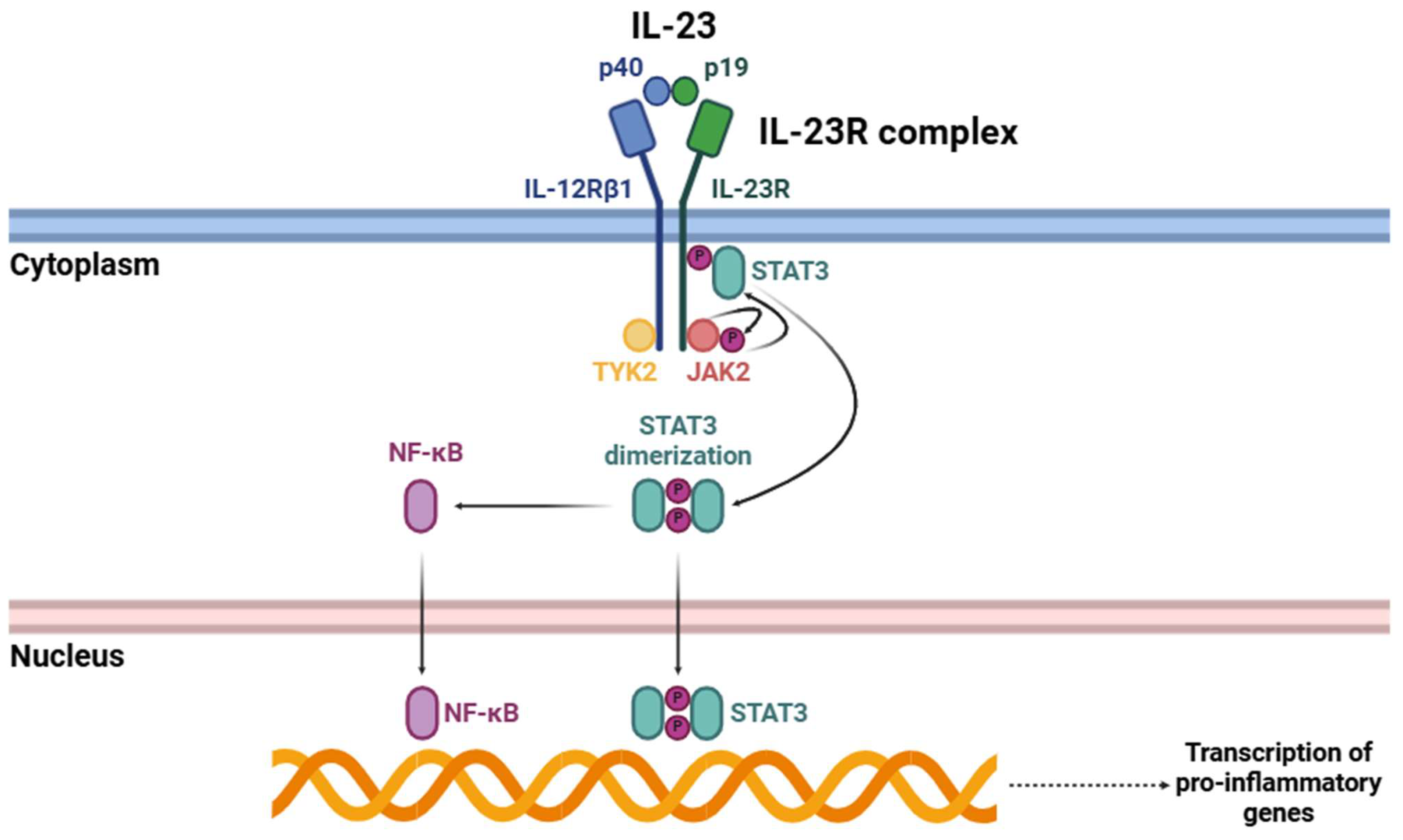 Biology 14 00347 g002