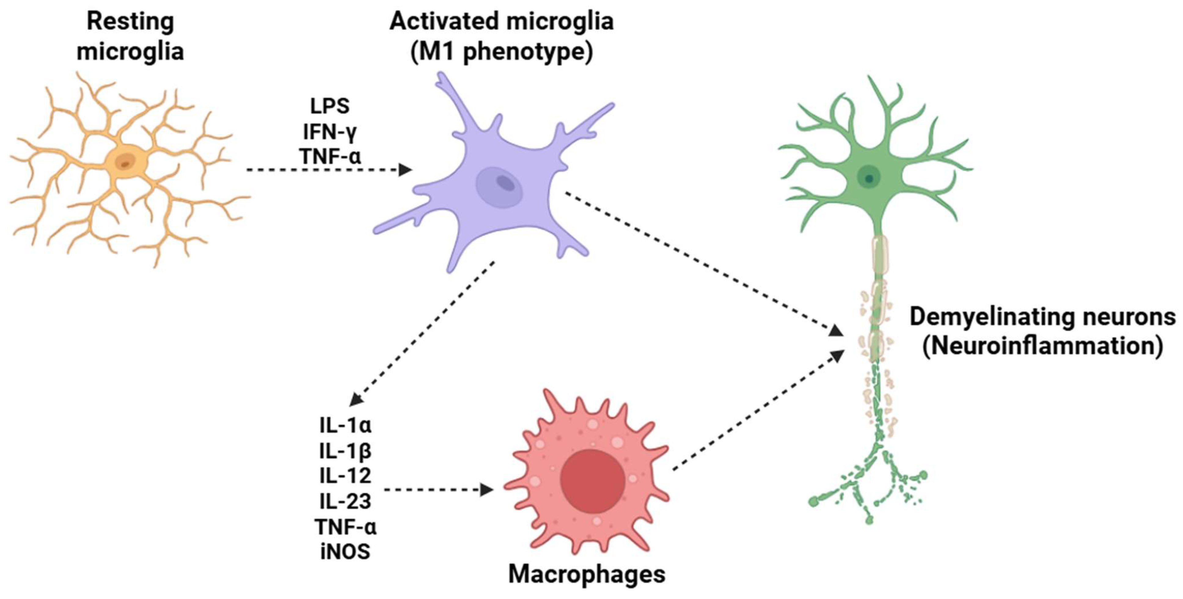 Biology 14 00347 g004