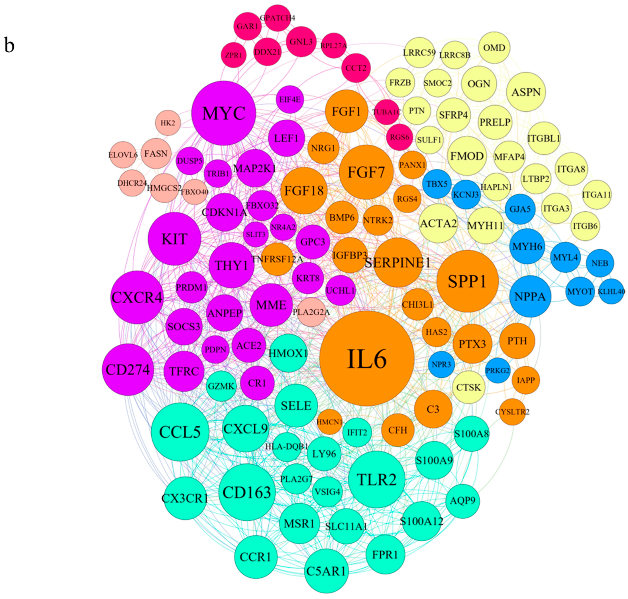 Biology 14 00361 g002b