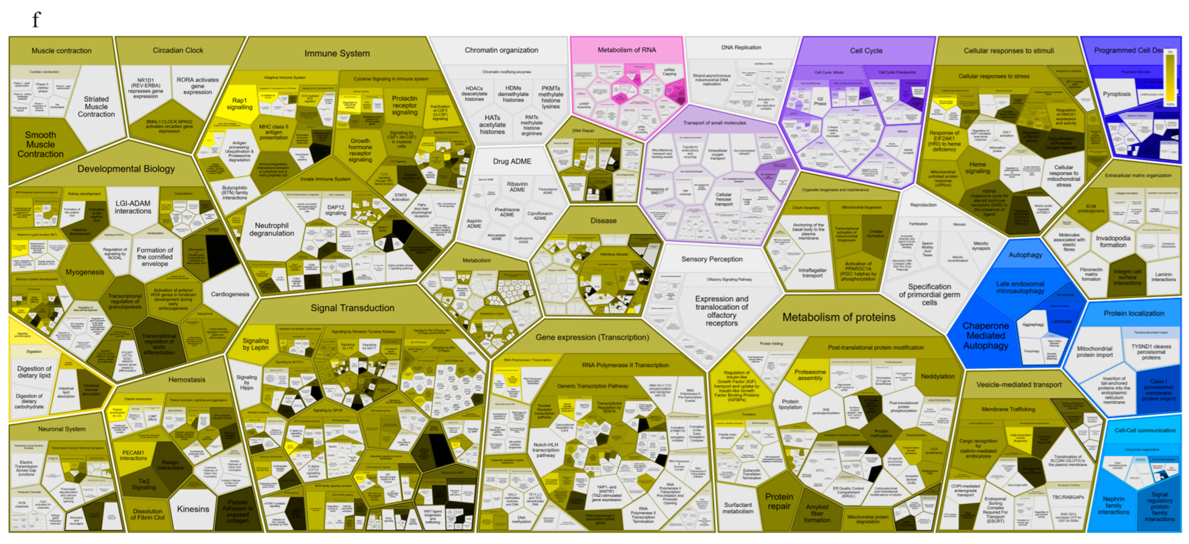 Biology 14 00361 g002d