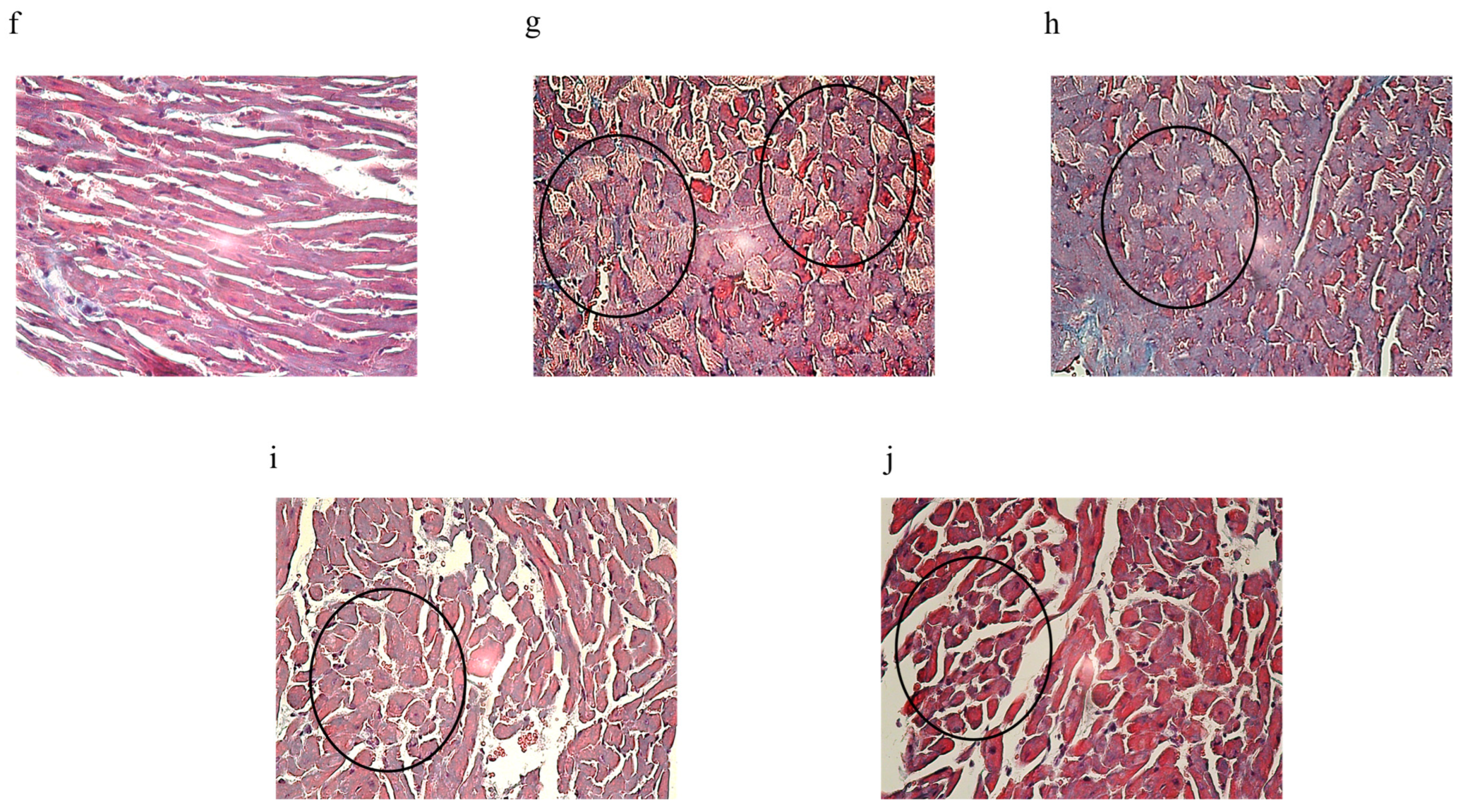 Biology 14 00361 g005b
