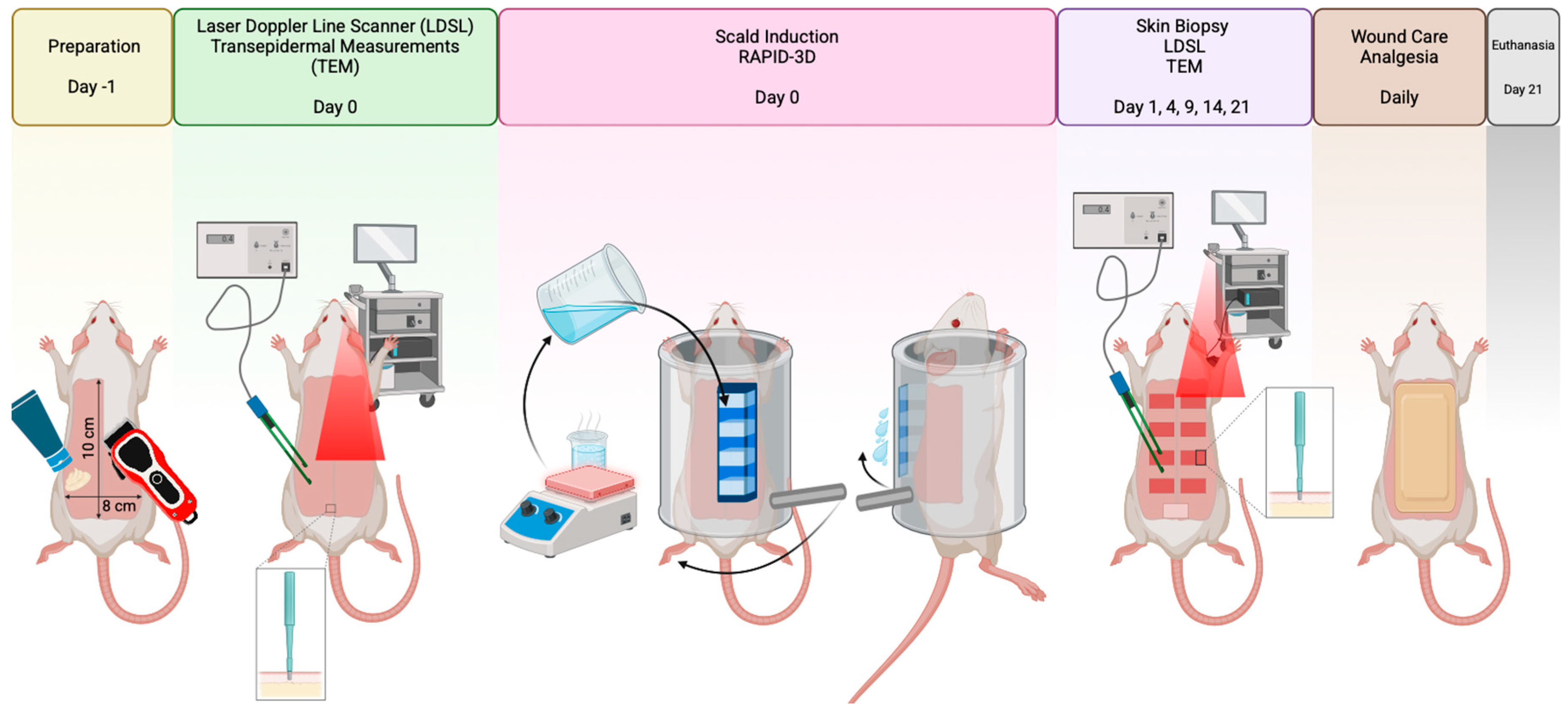 Biology 14 00378 g001