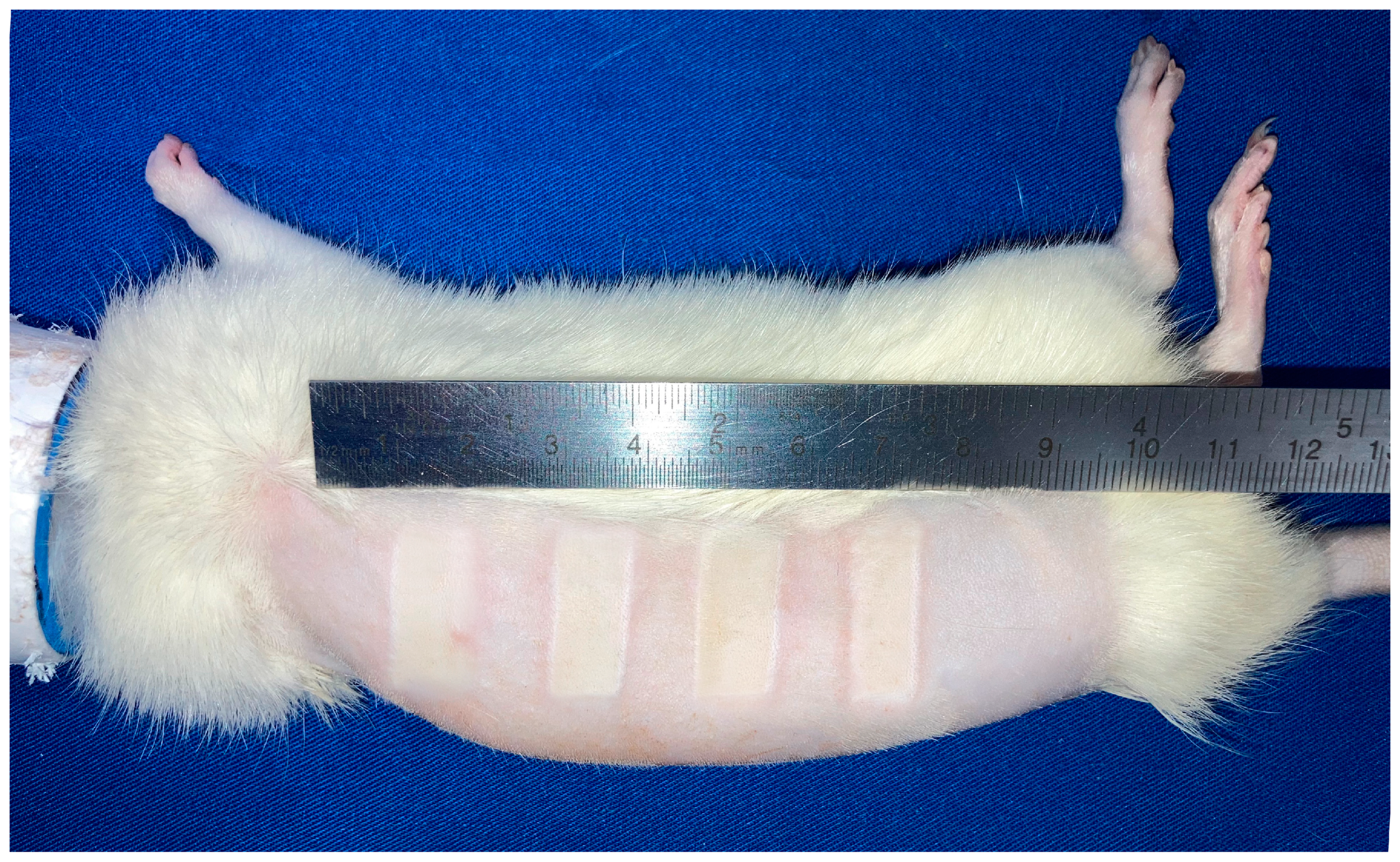 Biology 14 00378 g003