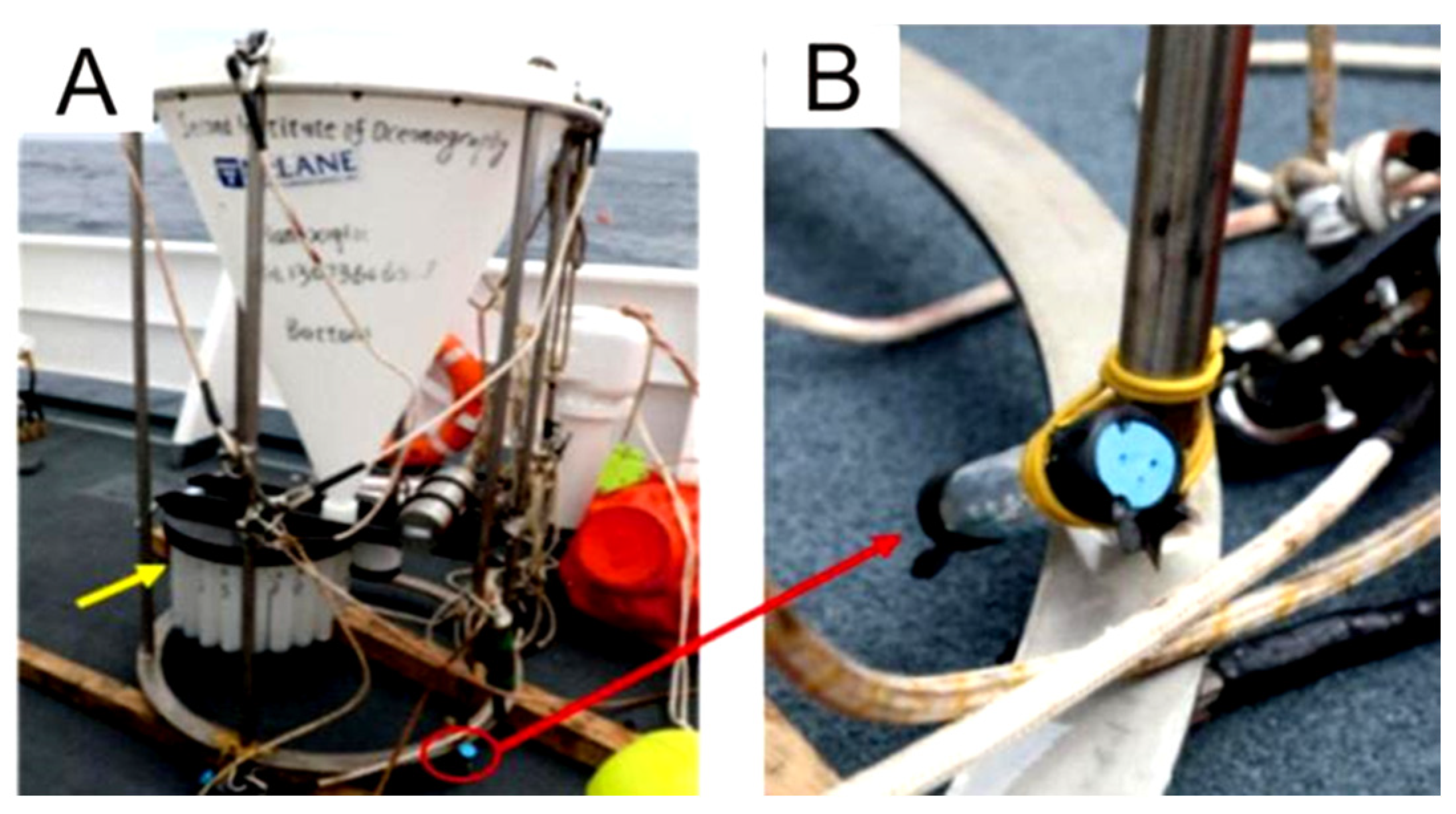 Biology 14 00389 g003