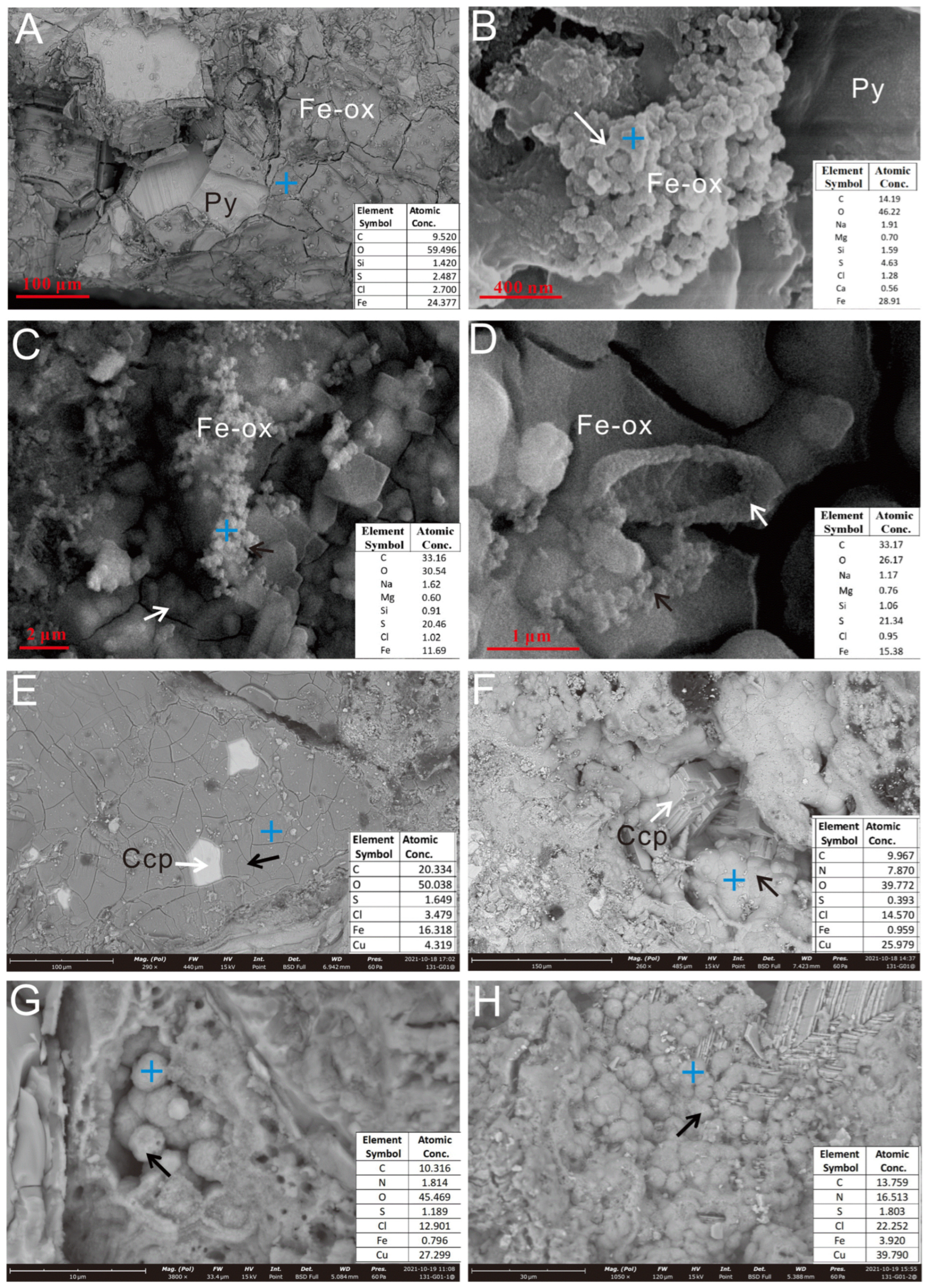 Biology 14 00389 g005