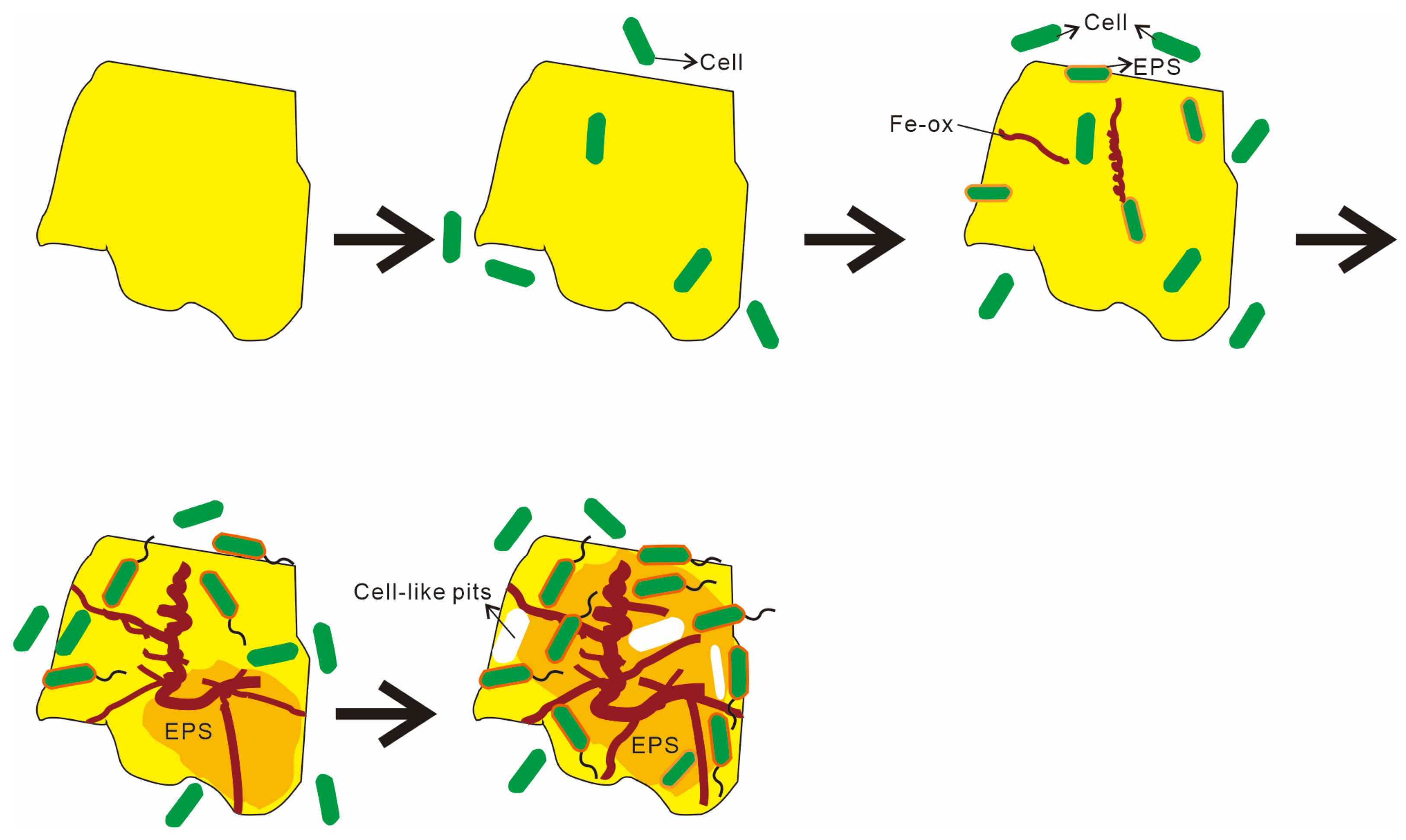 Biology 14 00389 g016