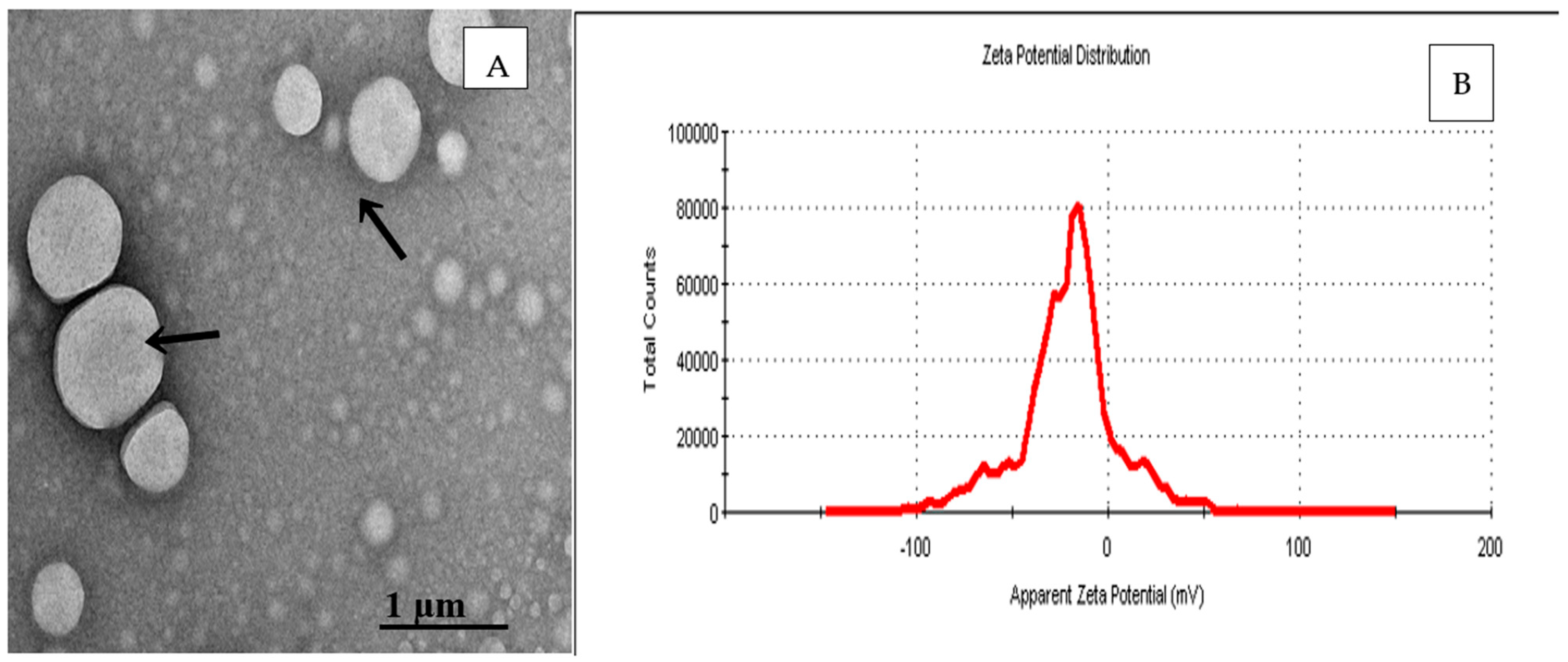 Biology 14 00400 g002