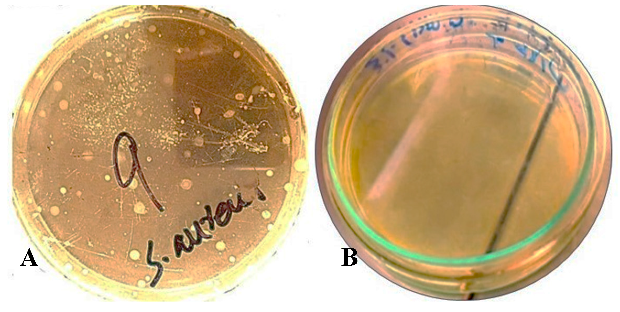 Biology 14 00400 g006