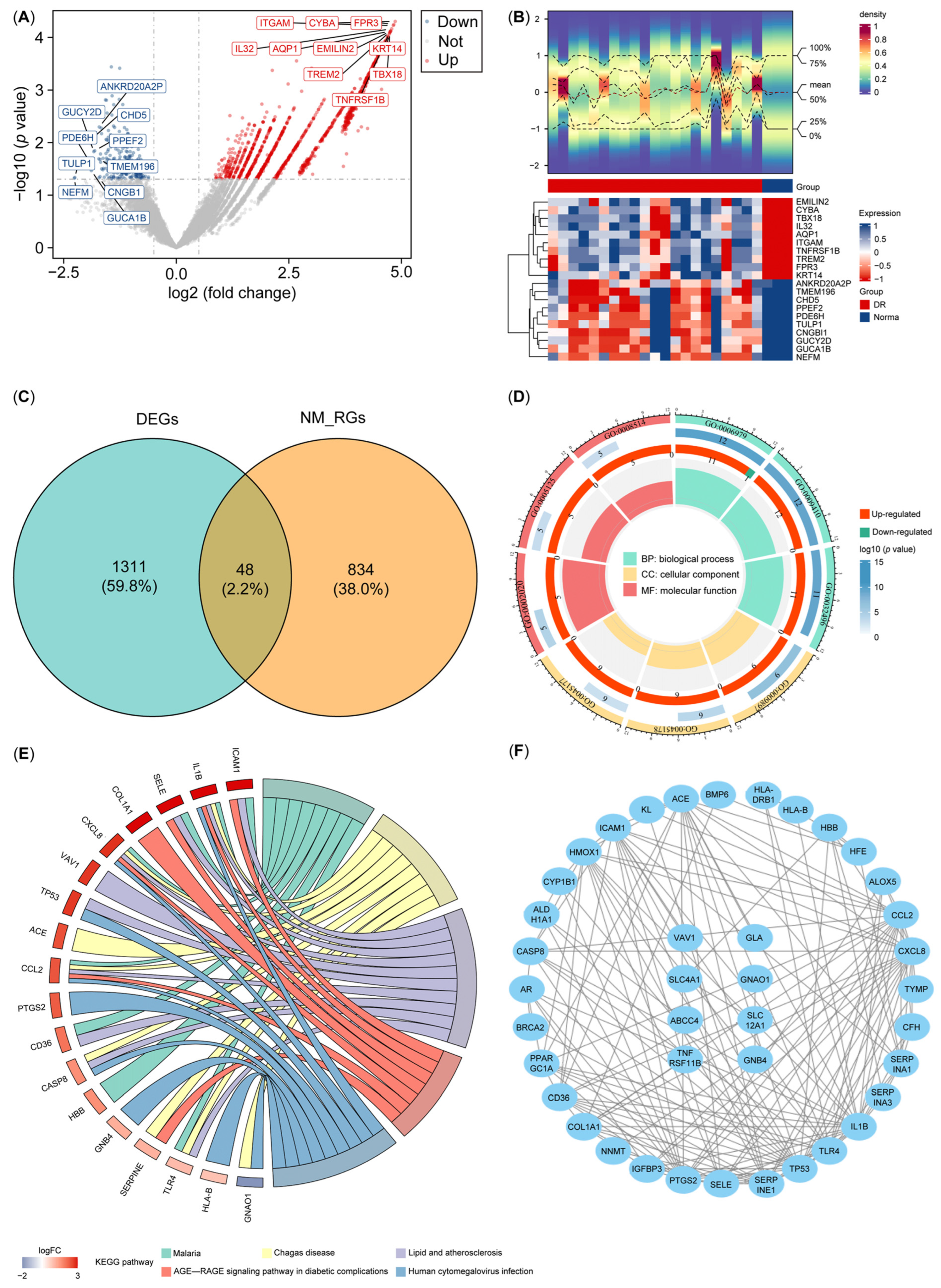 Biology 14 00409 g001