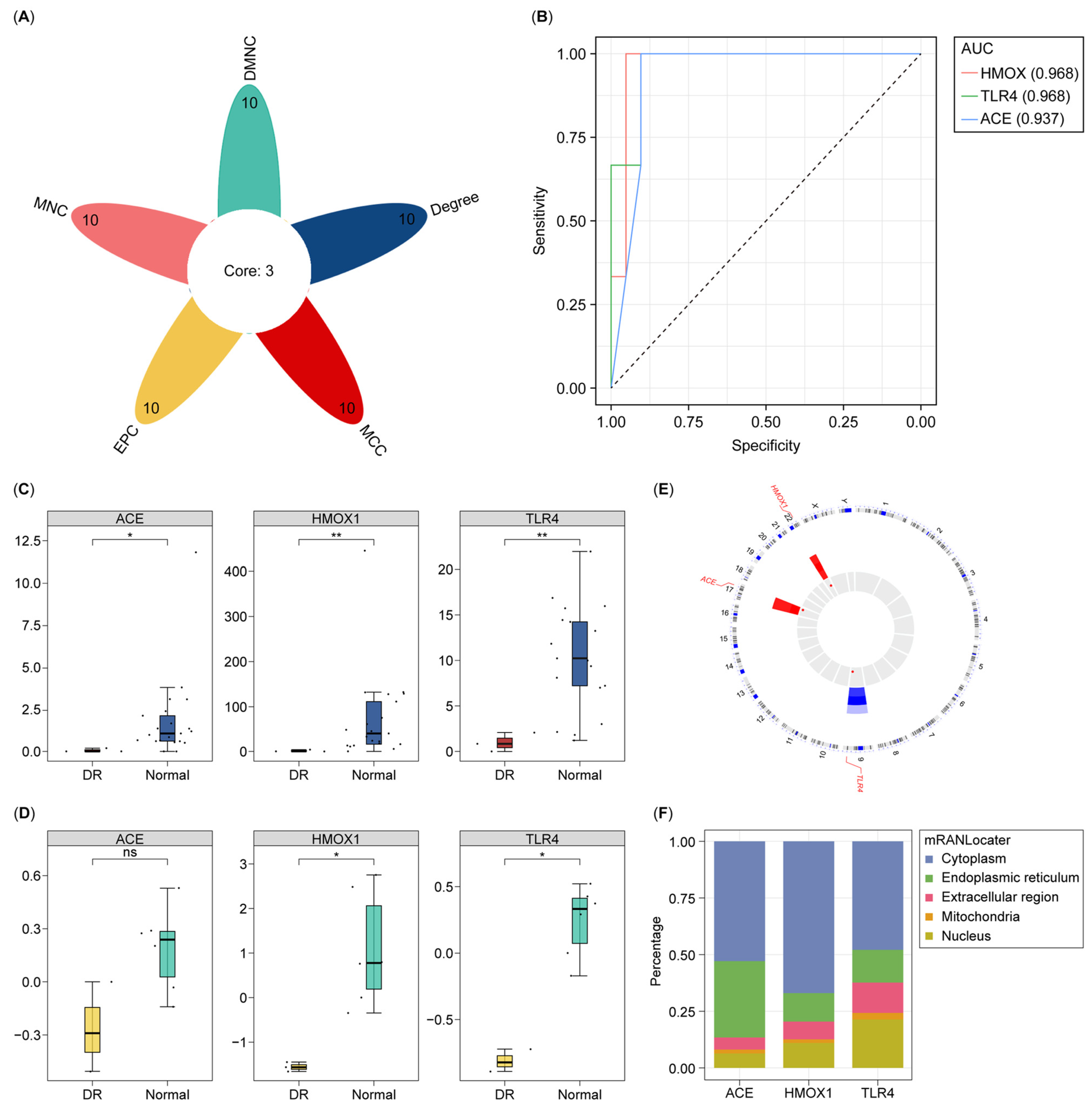 Biology 14 00409 g002