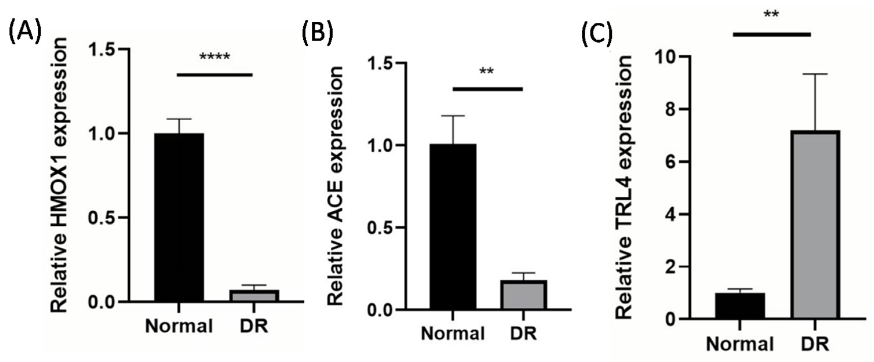 Biology 14 00409 g008