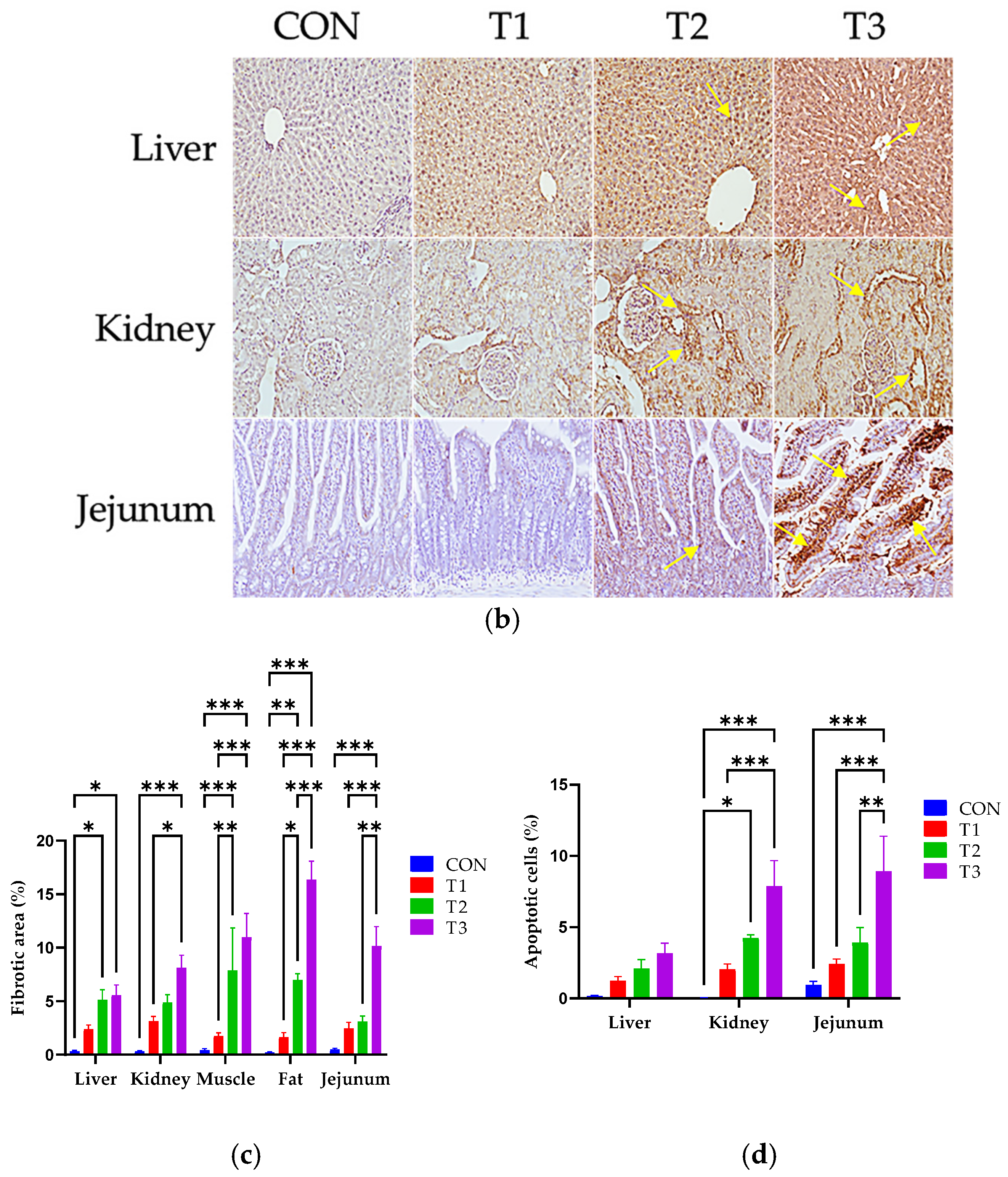 Biology 14 00429 g003b