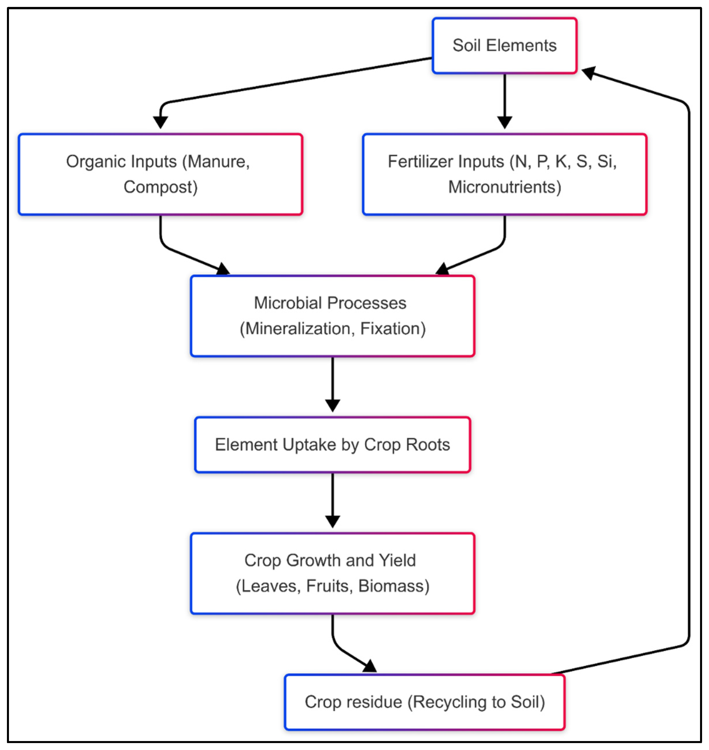 Biology 14 00433 g004