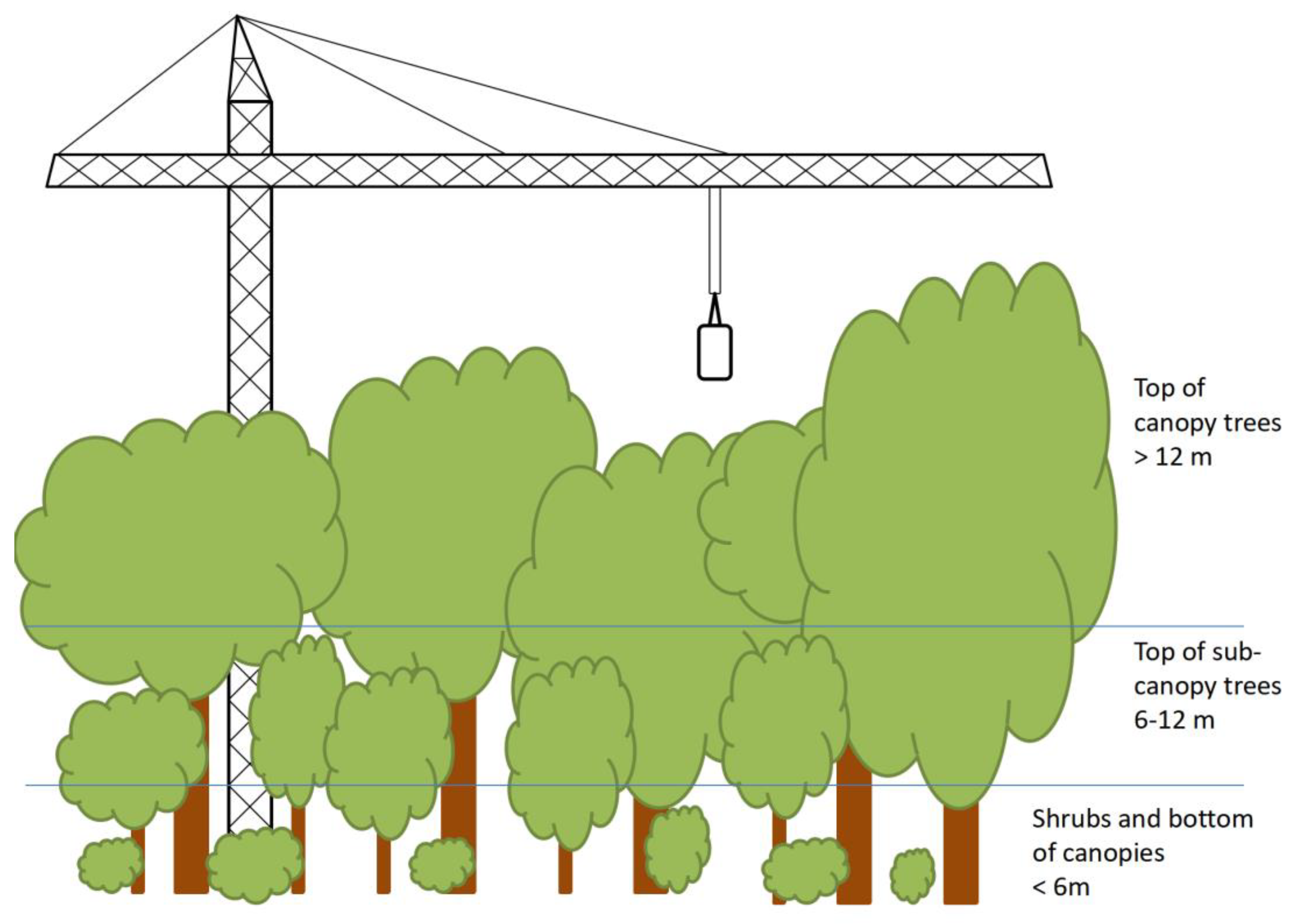 Biology 14 00434 g001